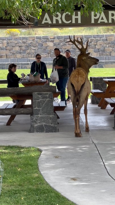 Arch Park - Be careful - Parks Near Me