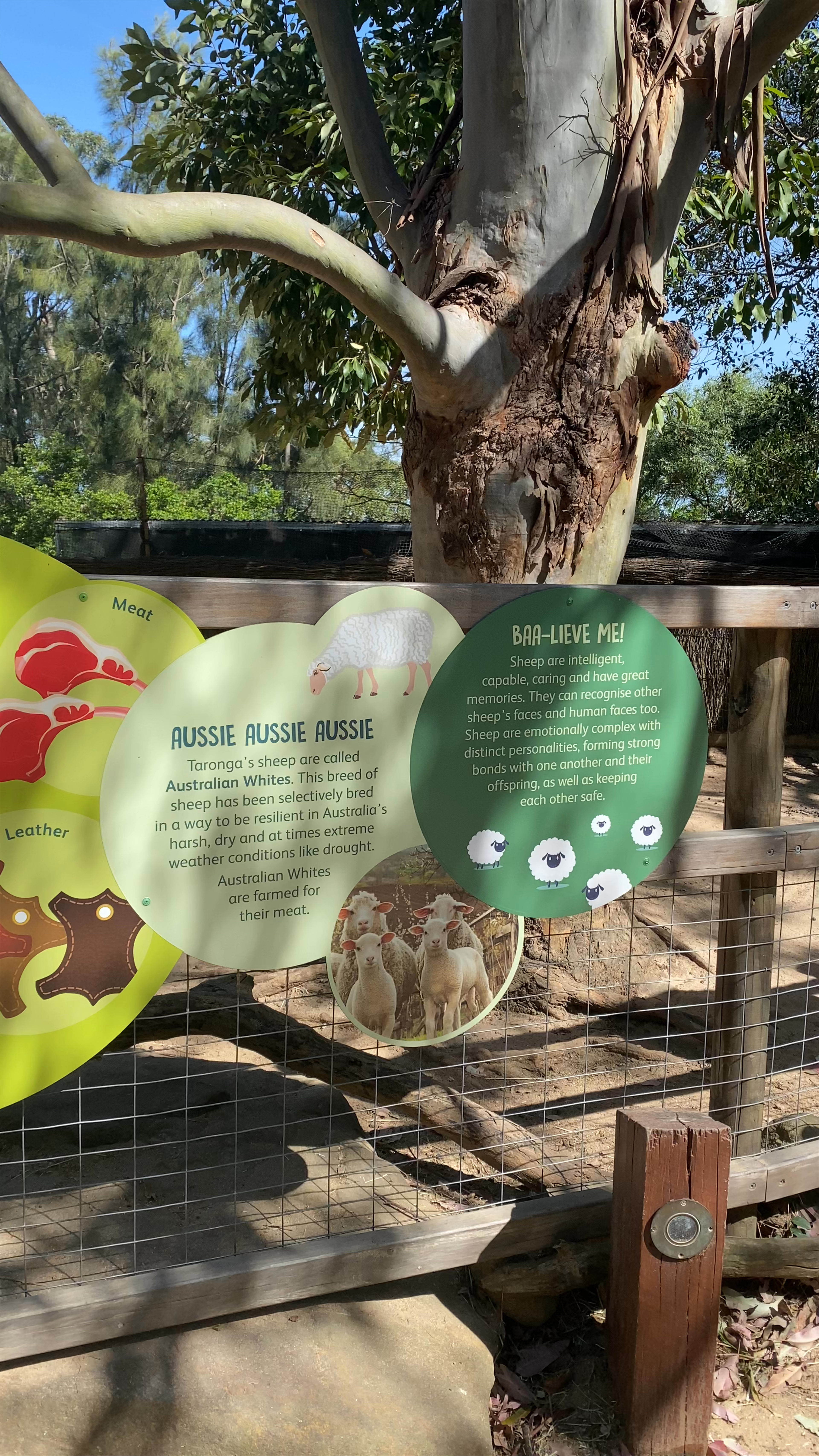 Taronga Zoo Sydney
