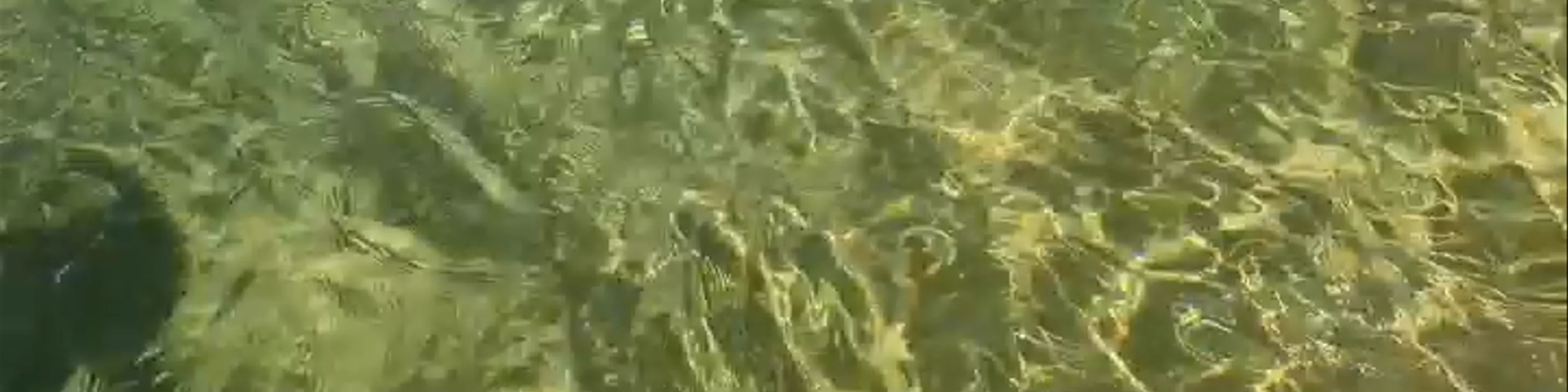 Agios Prokopios Beach