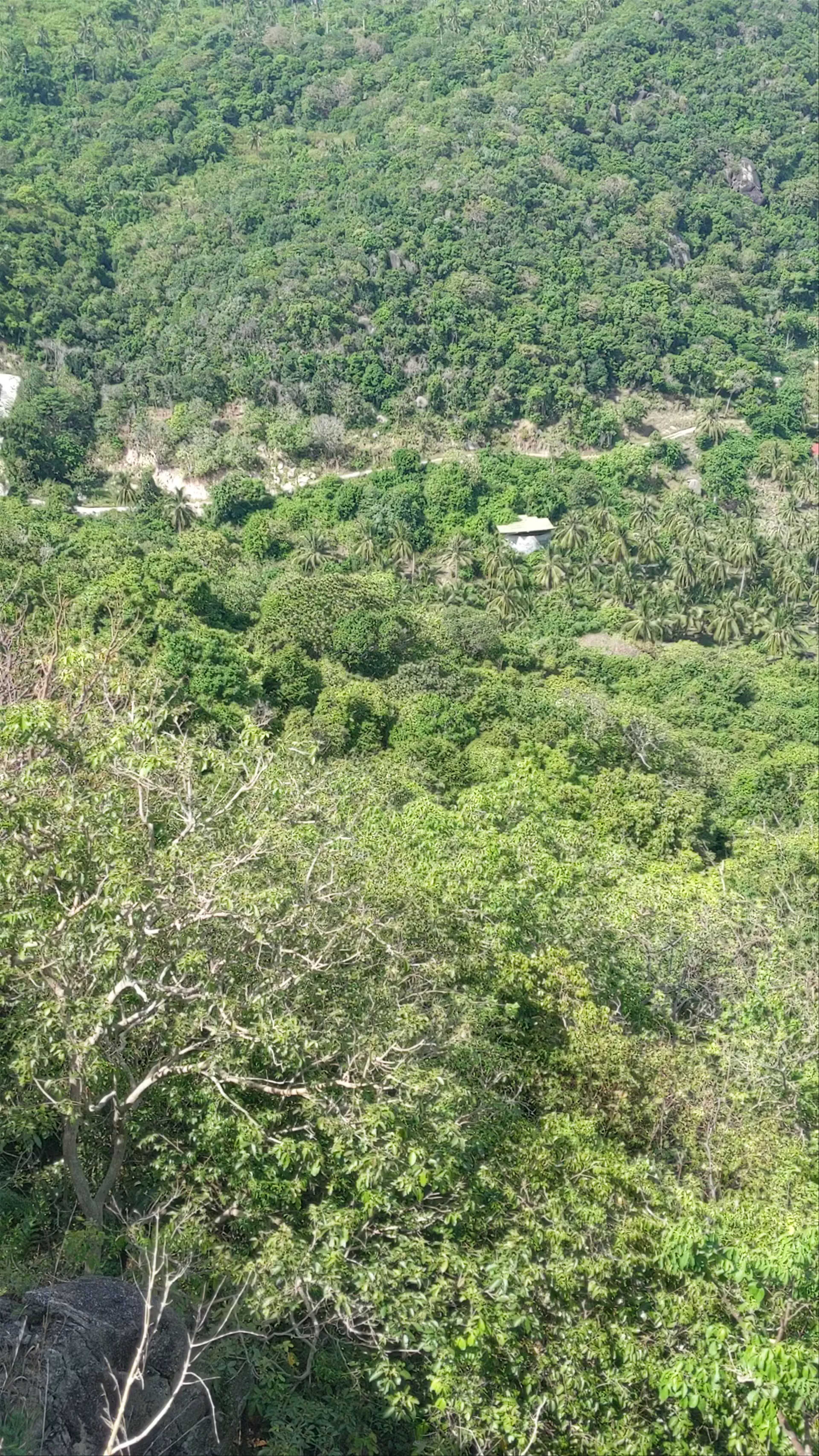 Koh Tao: Tropical Escape with Stunning Coastal Views