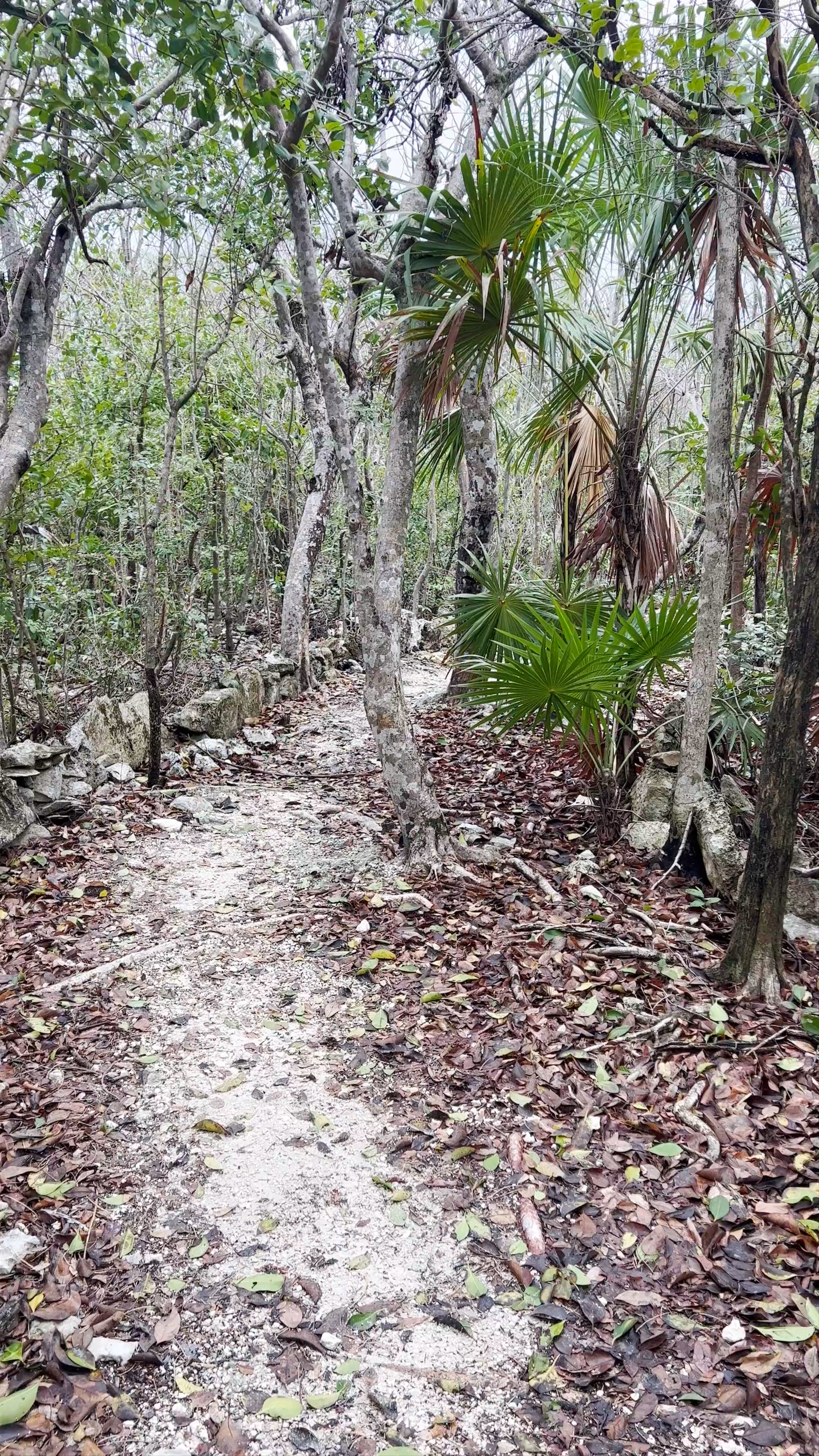 Punta Sur Eco Beach Park