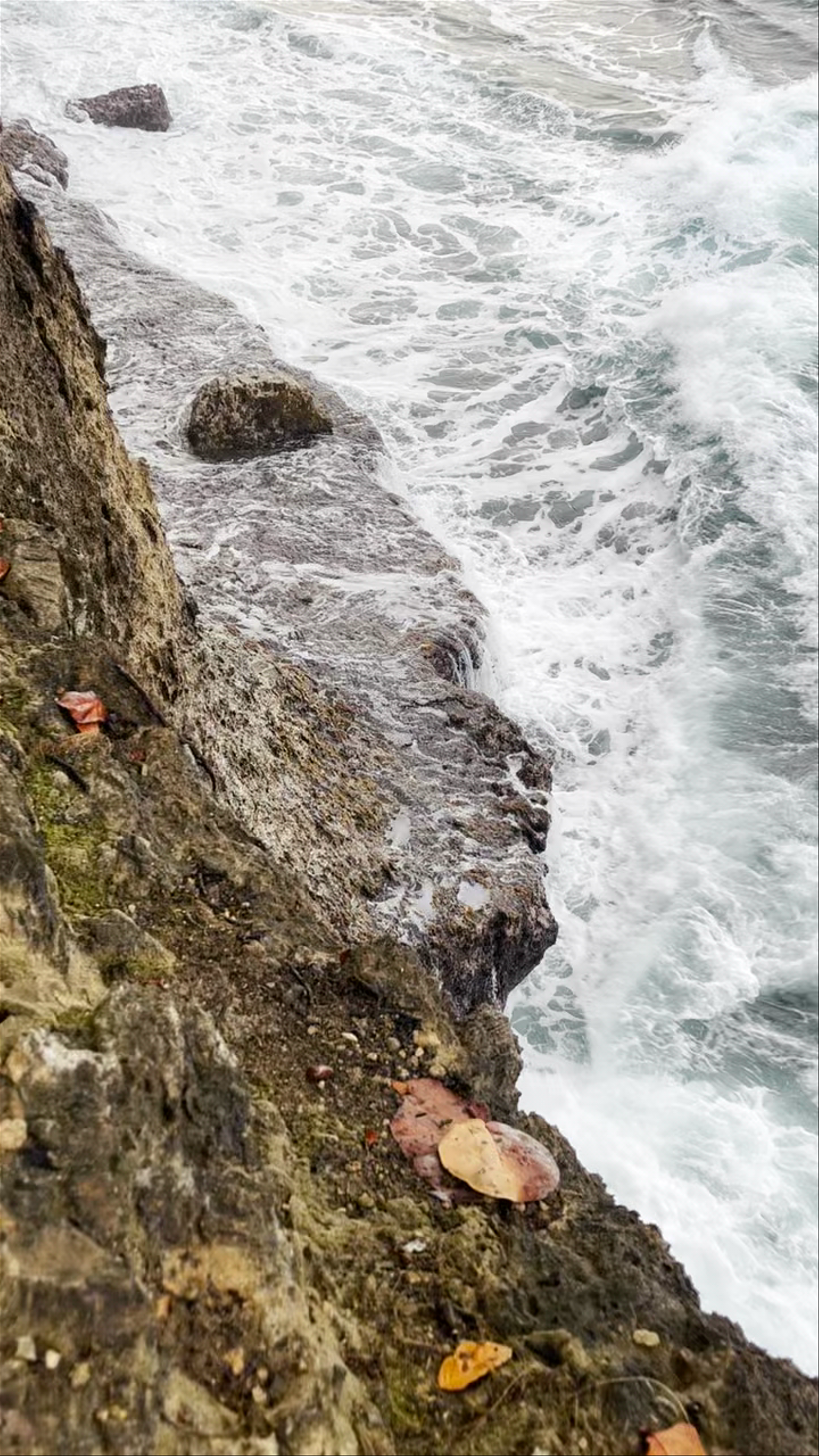 Talamanca Viewpoint: Rugged Coastal Majesty in Puerto Viejo de Talamanca