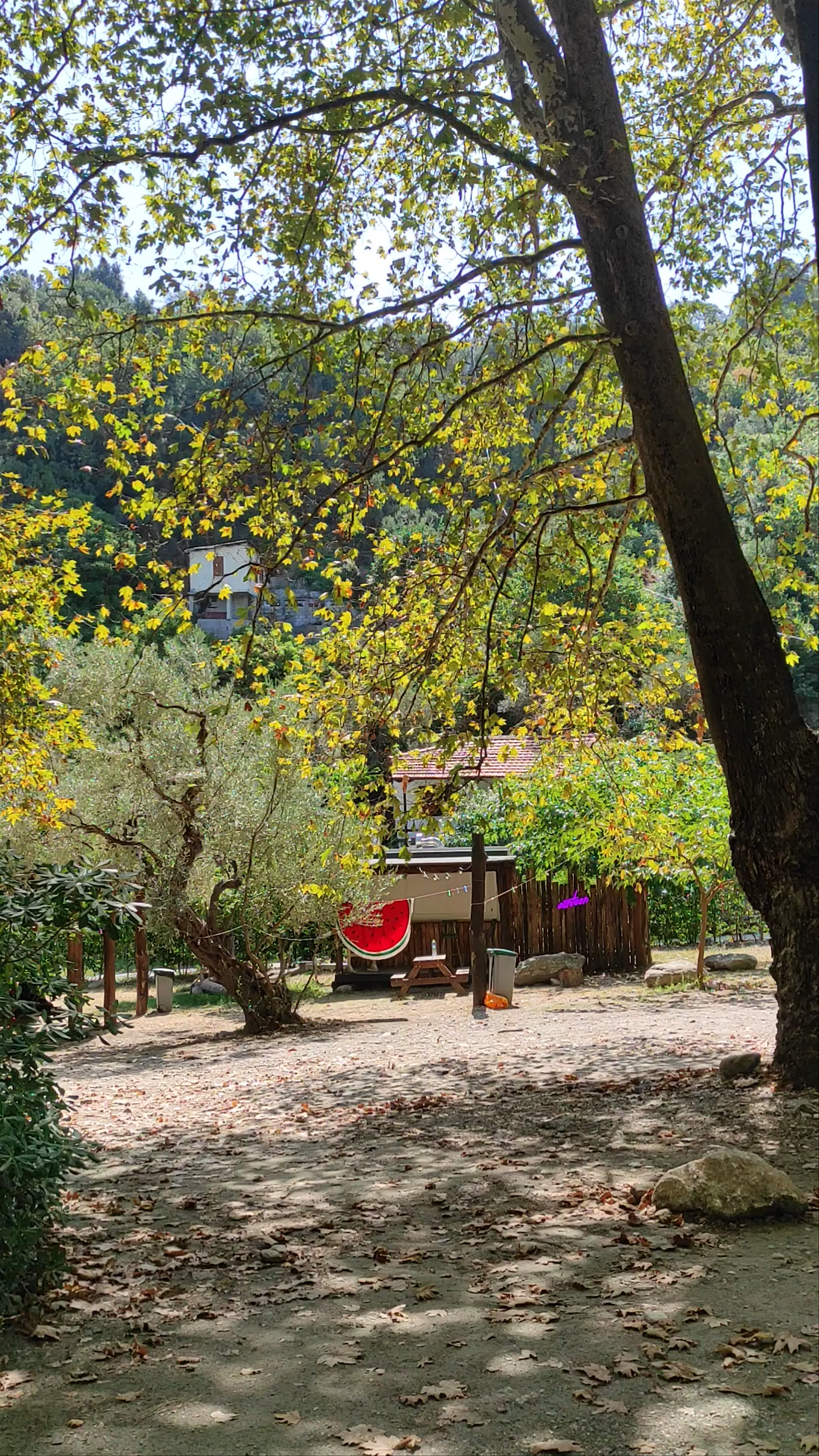 Chorefto Camp Pelion: Serene Forest Escape in Zagora-Mouresi, Greece