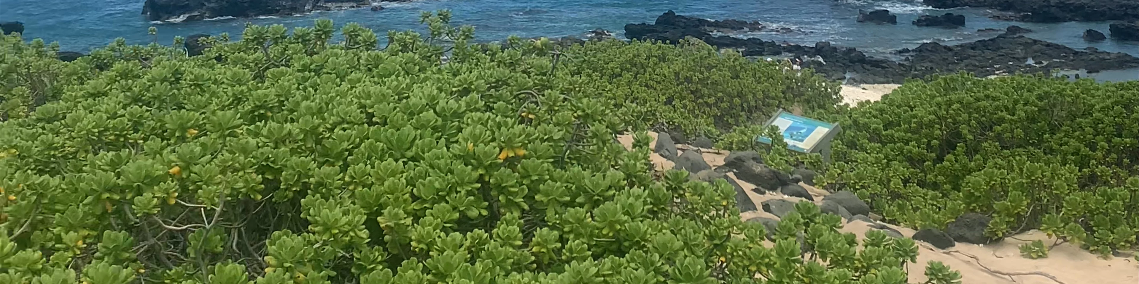 Kaʻena Point State Park