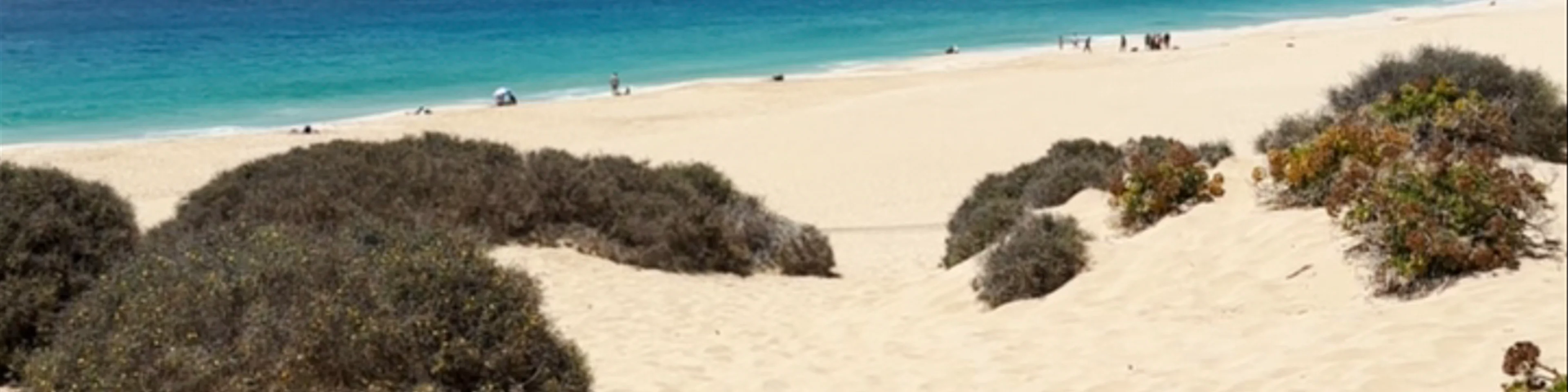 Playa de las Conchas