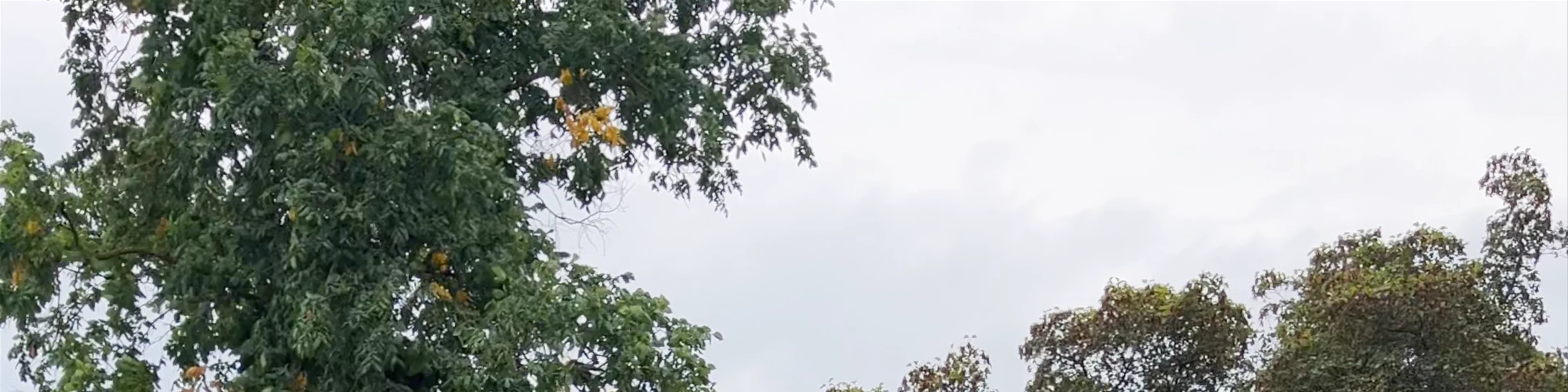 Skulptūra "Labklājība"