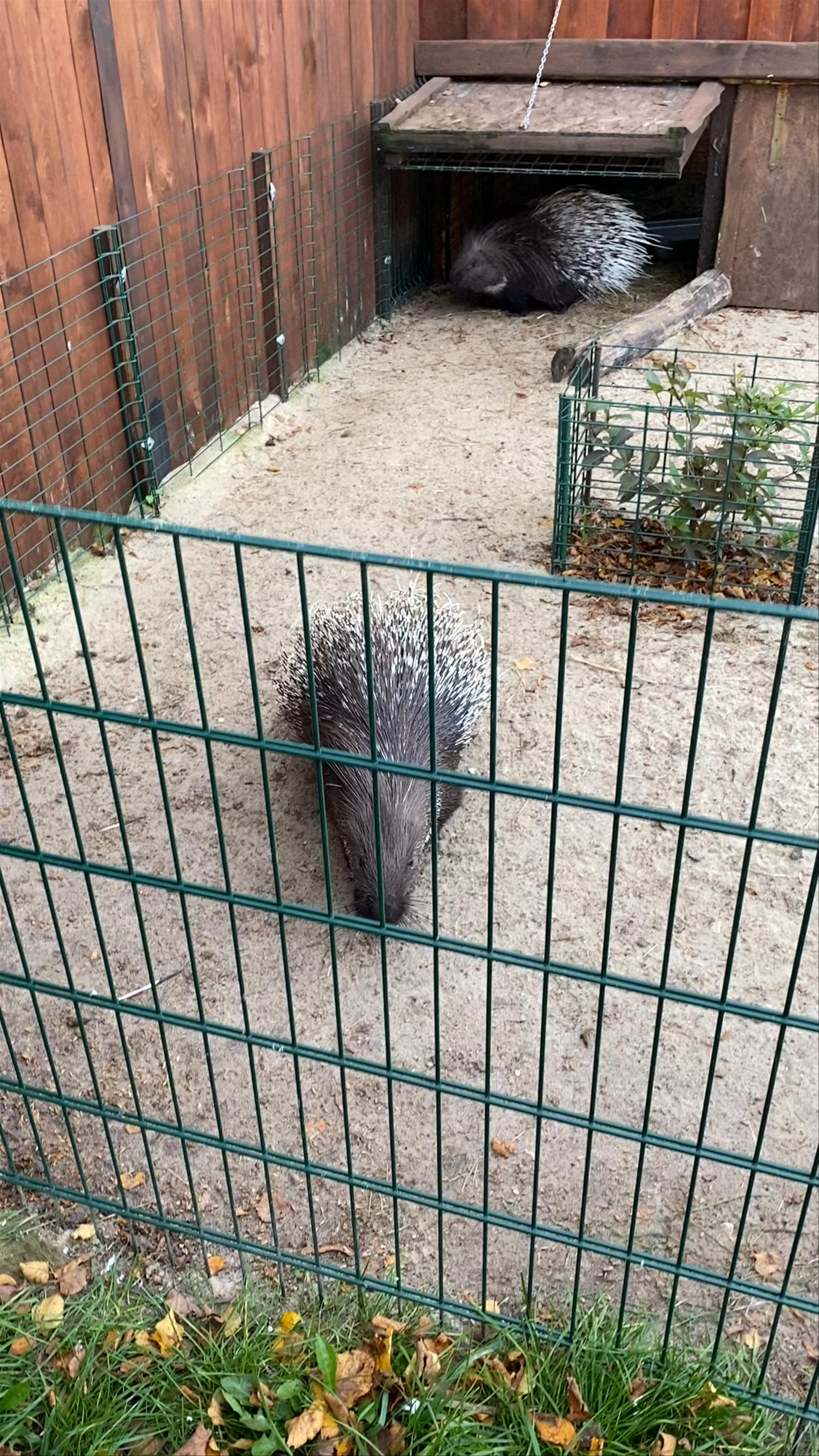 Zoo Wojciechów