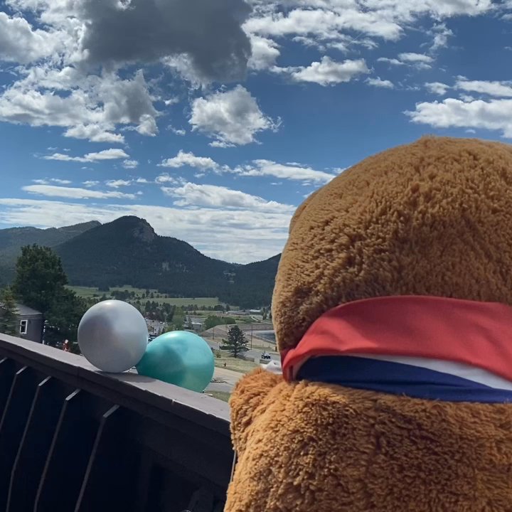 Estes Ark - Waking in is a little overwhelming! - Toy Stores Near Me - Estes Park, Colorado