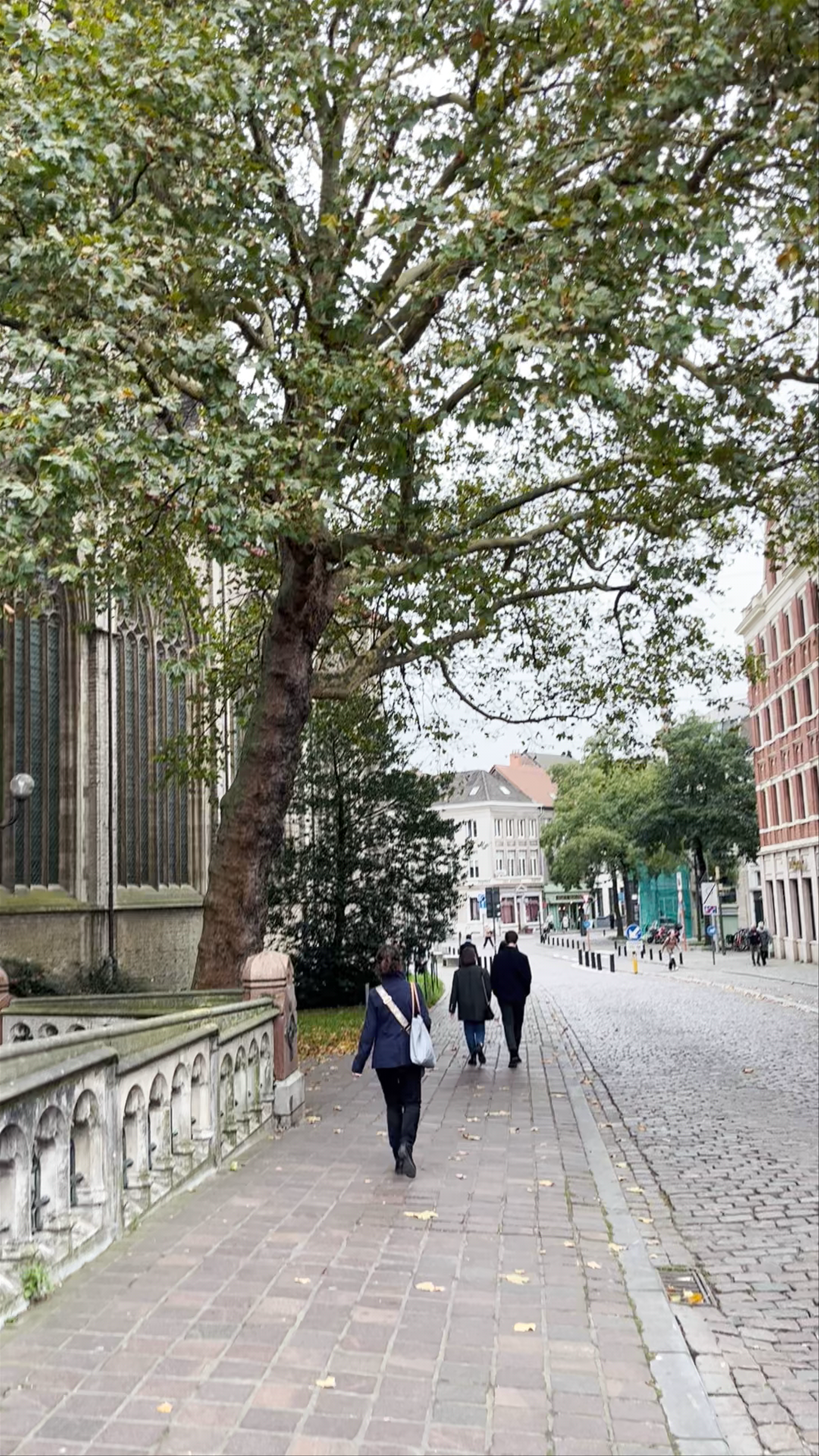 Strolling Puente de San Miguel in Ghent: Historic Urban Charm