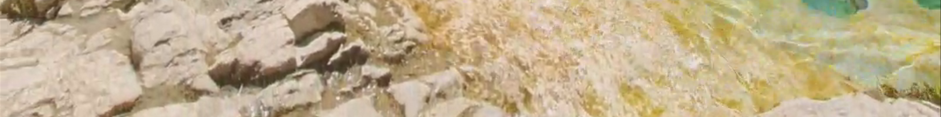 Tours & experiences in Gjirokastër