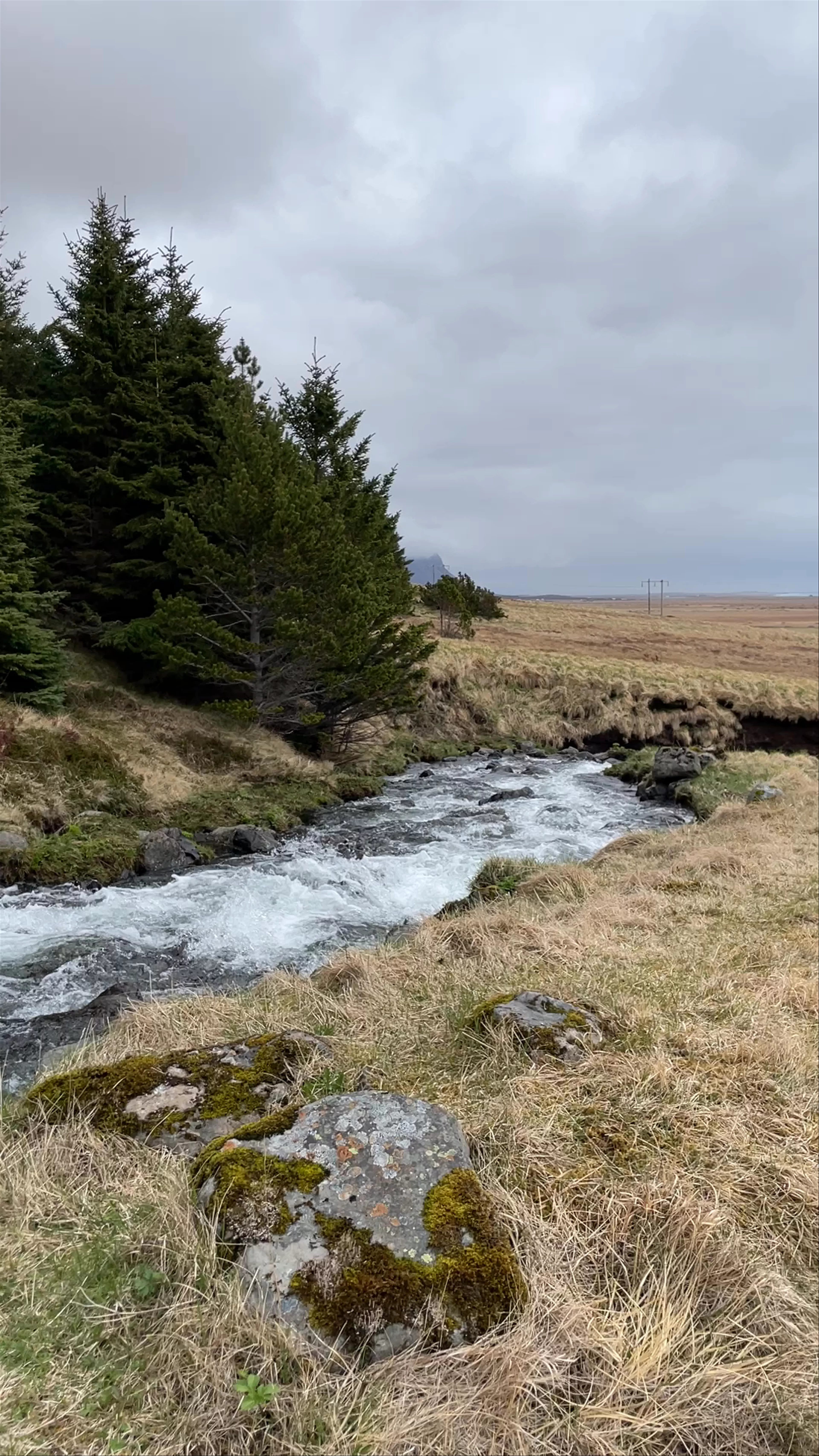 Bjarnafoss