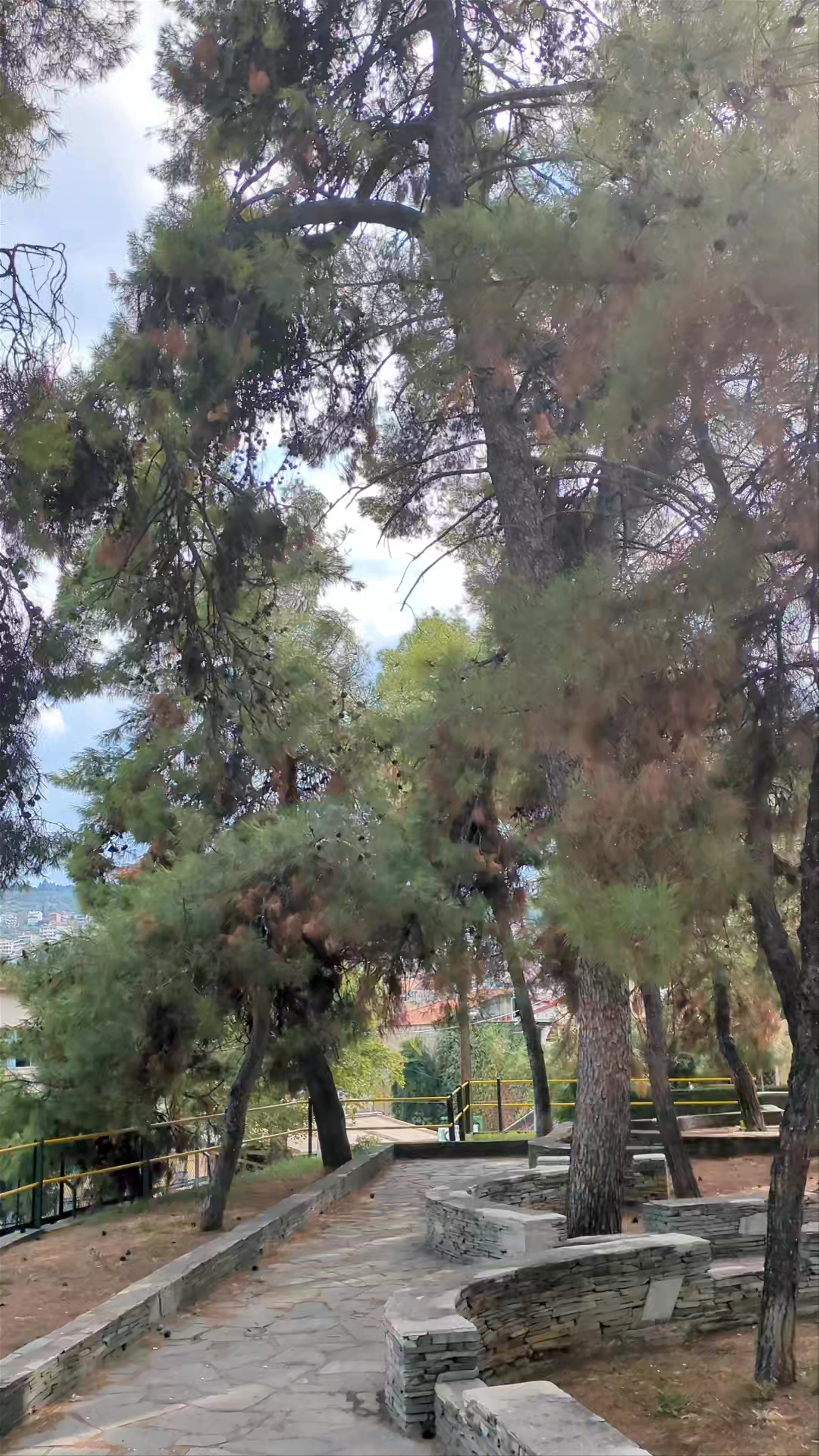 Elia Park