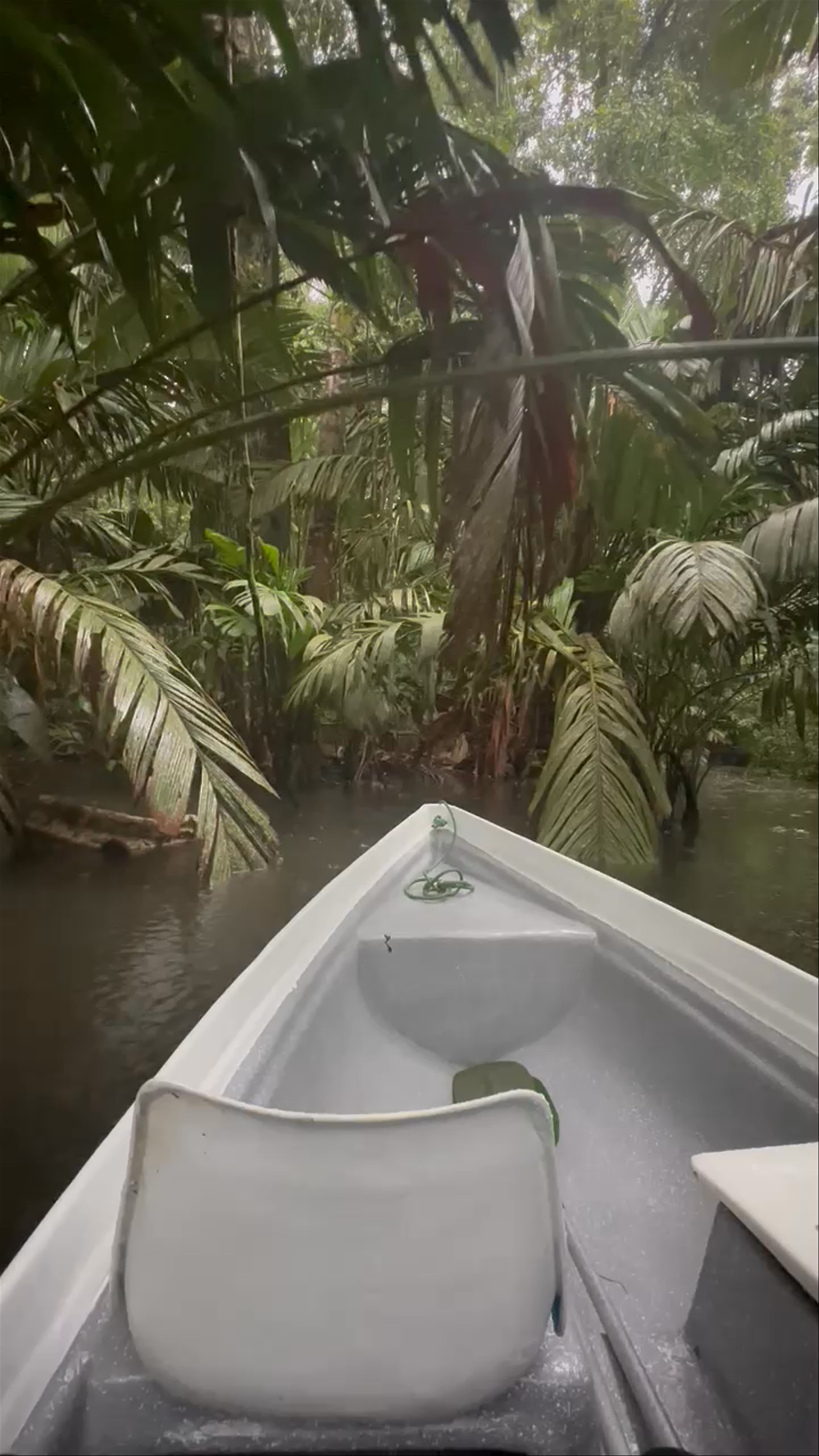 Tortuguero National Park