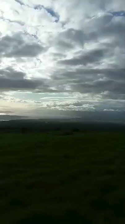 Thompson Road - 5/2/2020 - Hiking Near Me - Kula, Hawaii