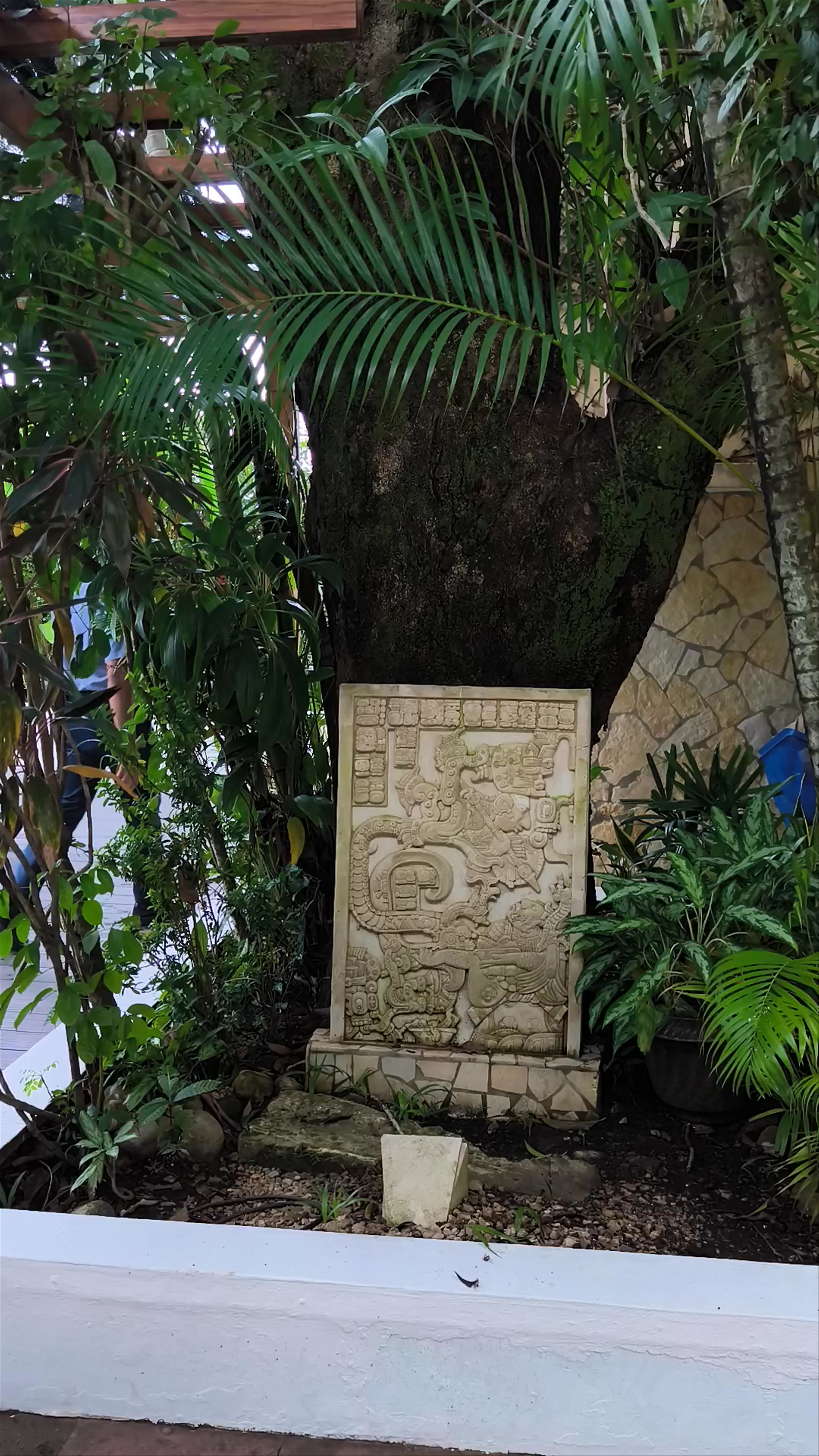 Tranquil Stay at Hotel Maya Tulipanes Palenque, Chiapas, Mexico