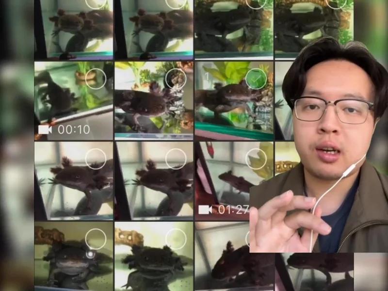 Tech UGC Example