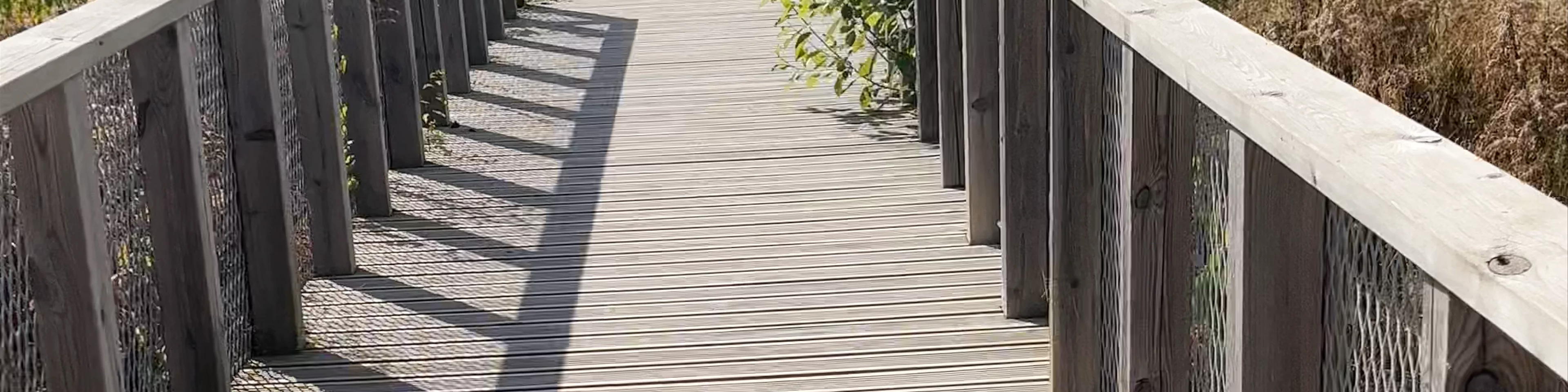 Wooden boardwalks at the flood-land meadows of the River Svēte