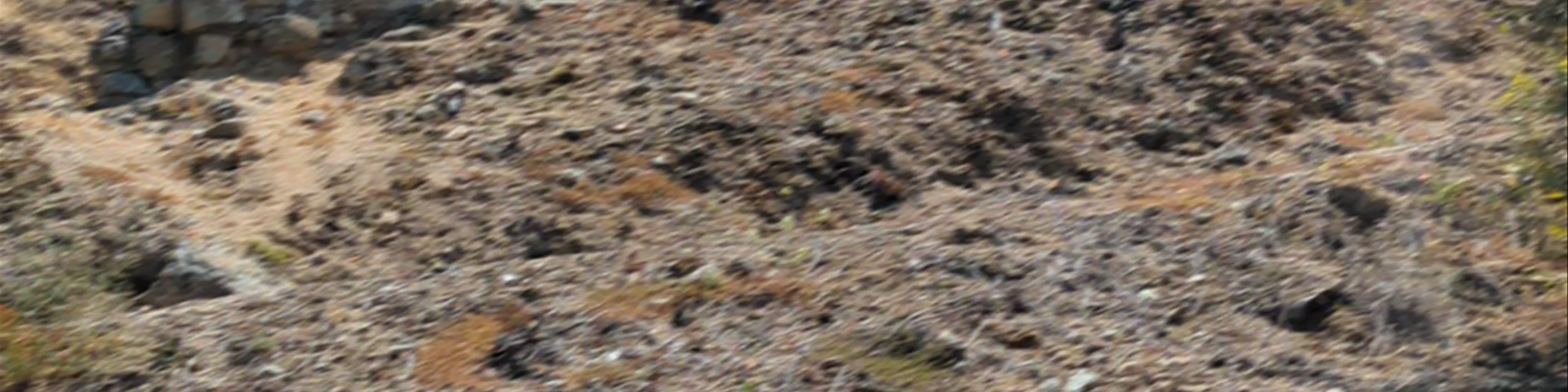 Ancient Stageira Beach