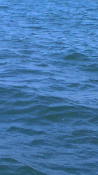 Photo of I AM IN GOA (PART 2)