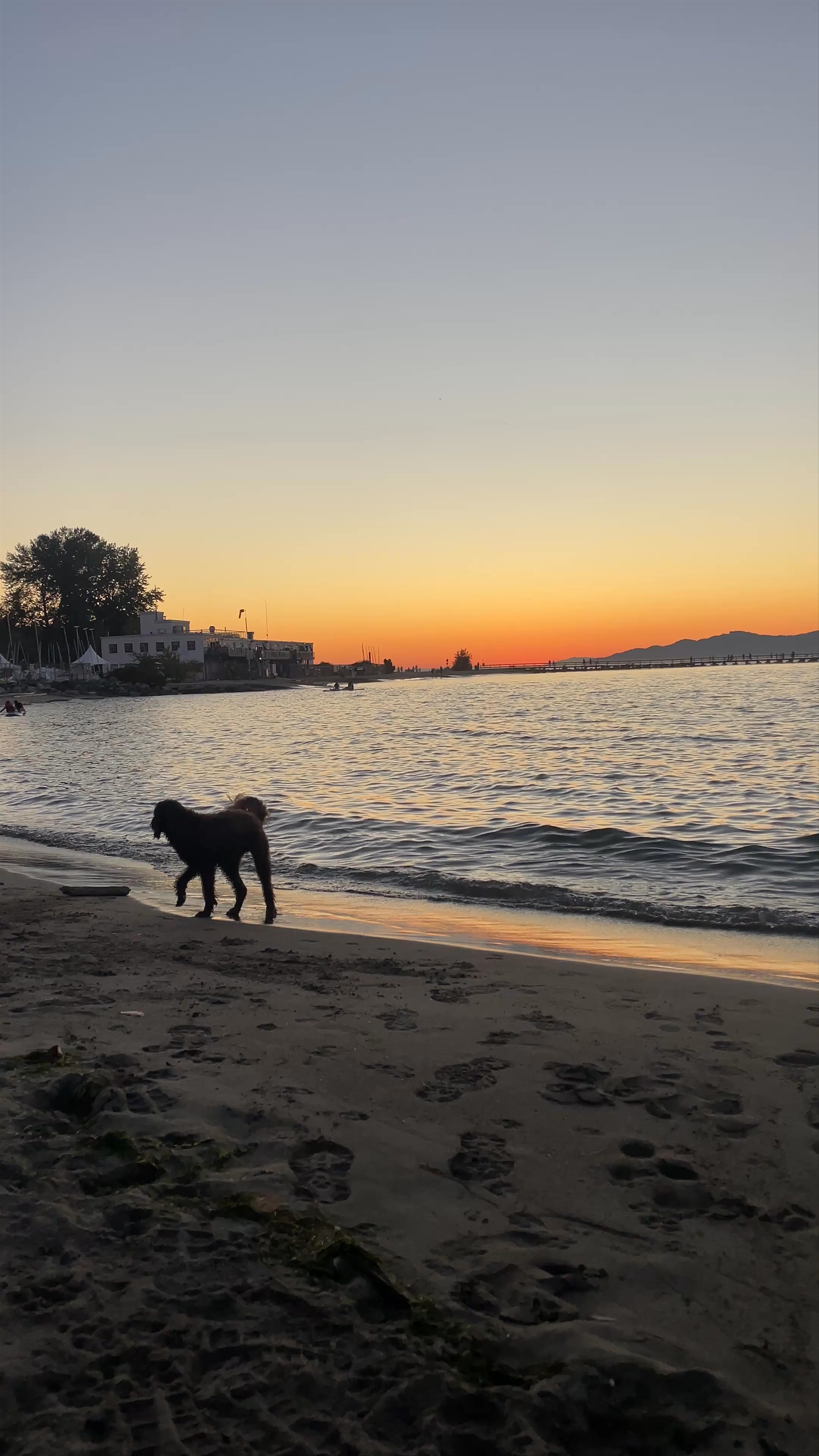 Jericho Beach