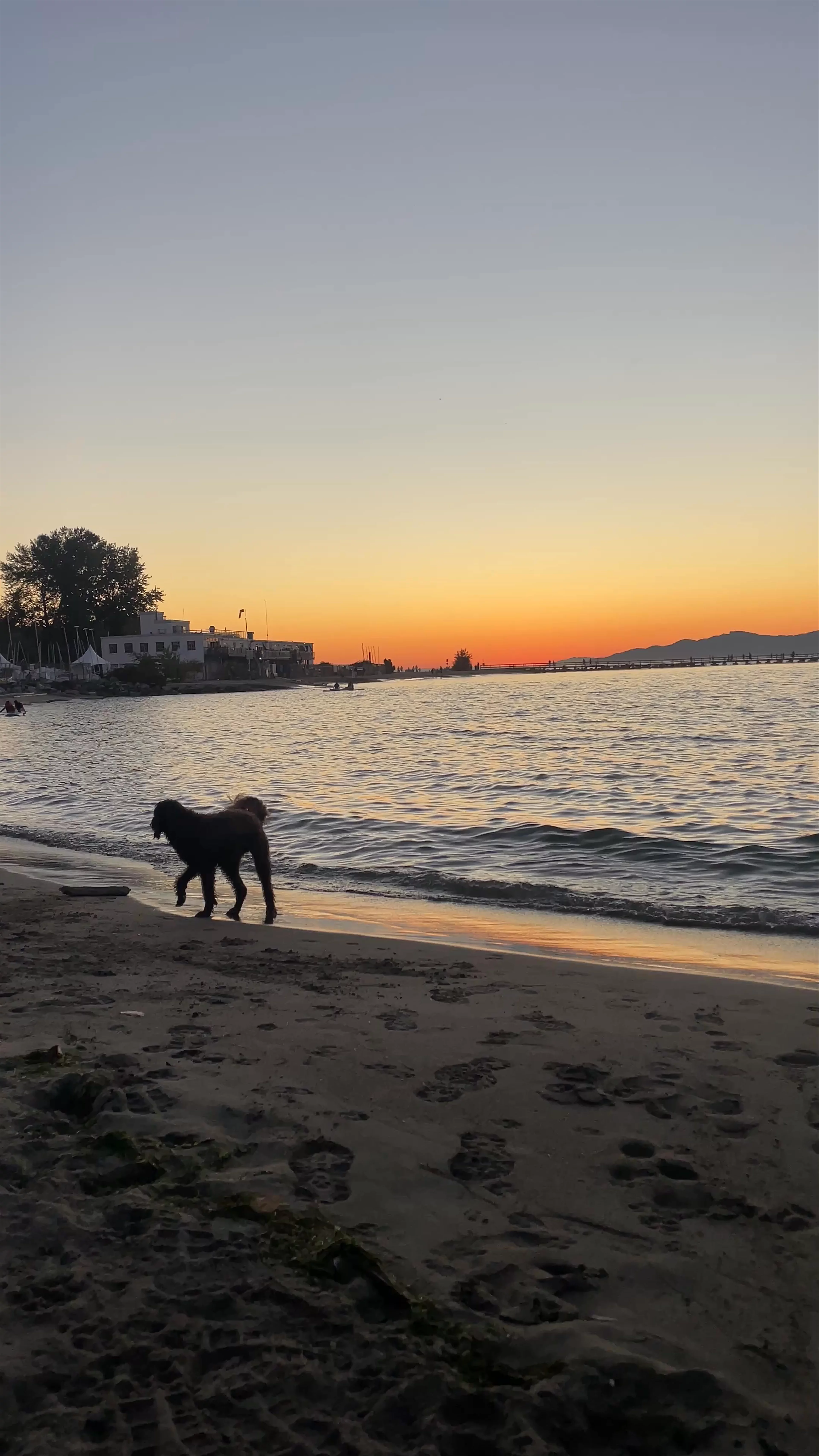 Jericho Beach