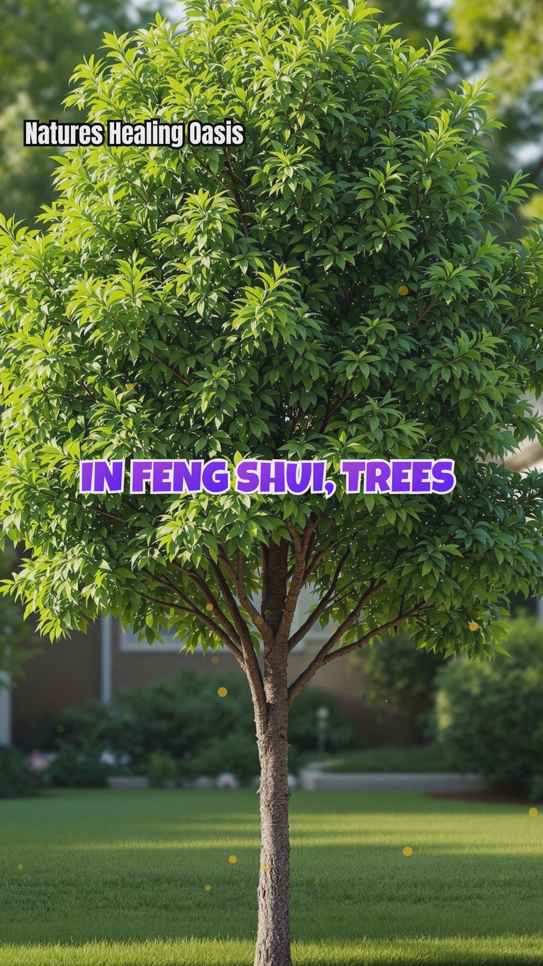 Feng Shui Tree Placement for Home & Emotional Harmony