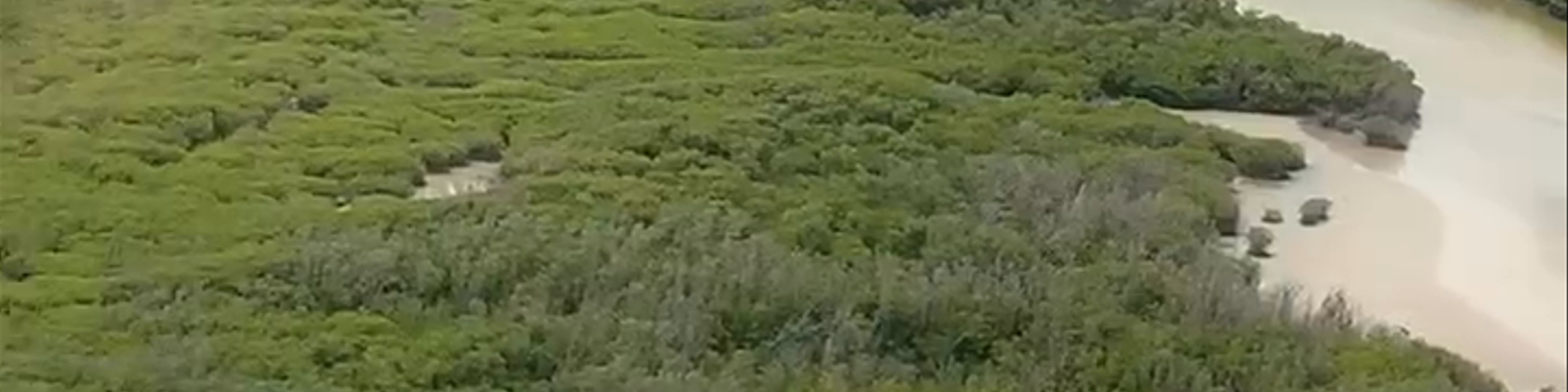 Saint Kitts and Nevis