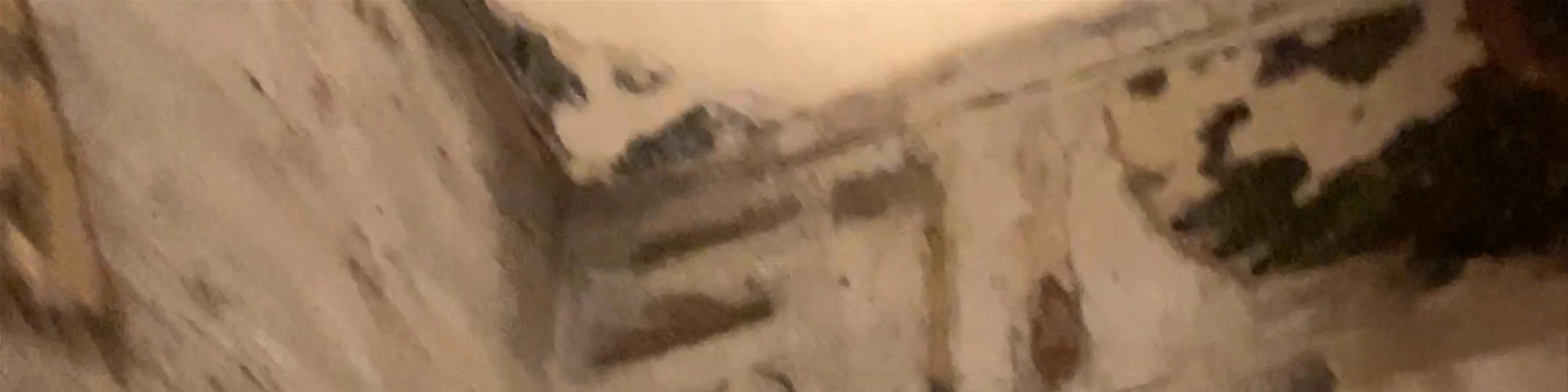Tomb of Ay (WV 23)