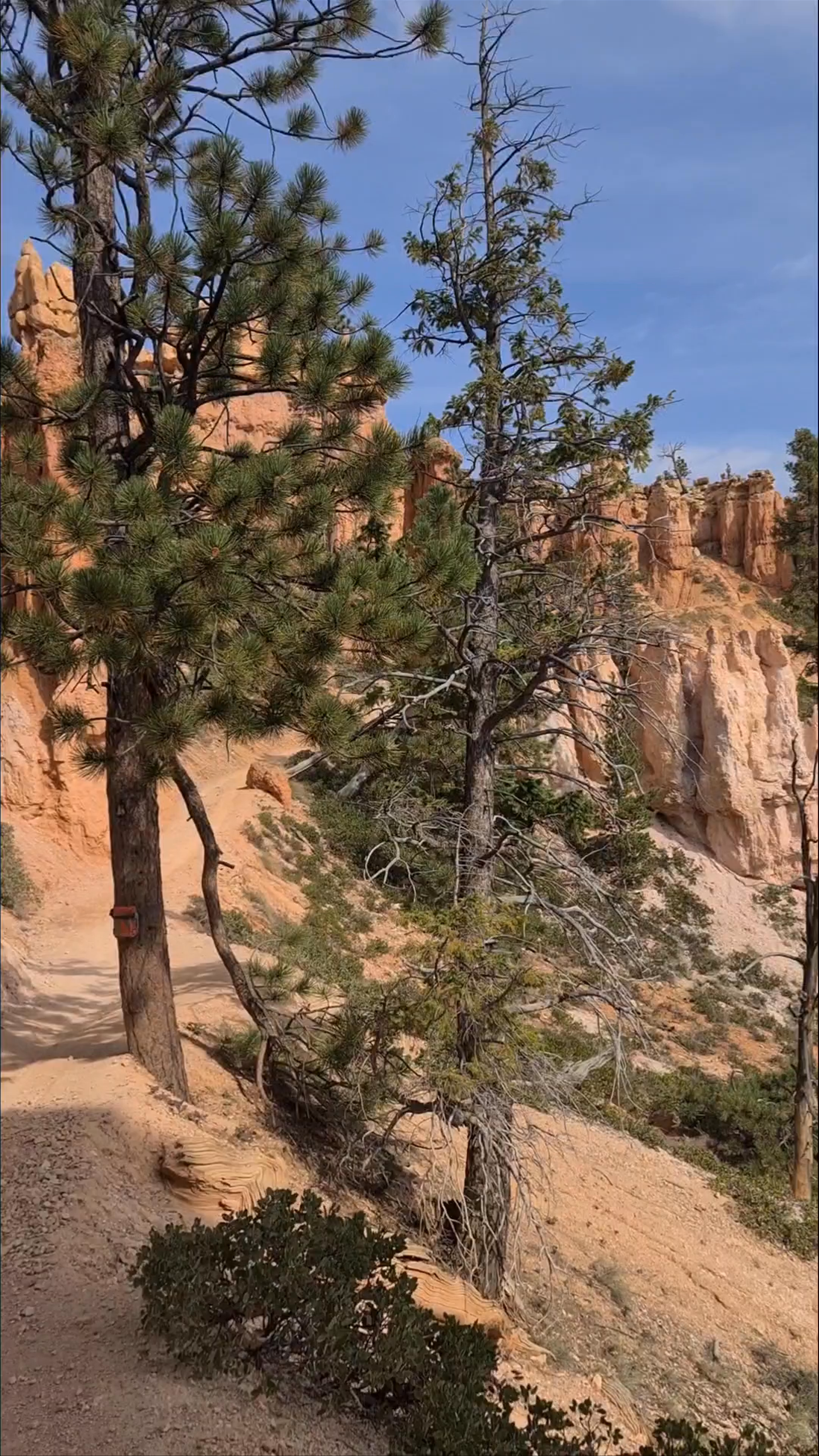 Peek-A-Boo Trailhead Hike at Bryce Canyon National Park