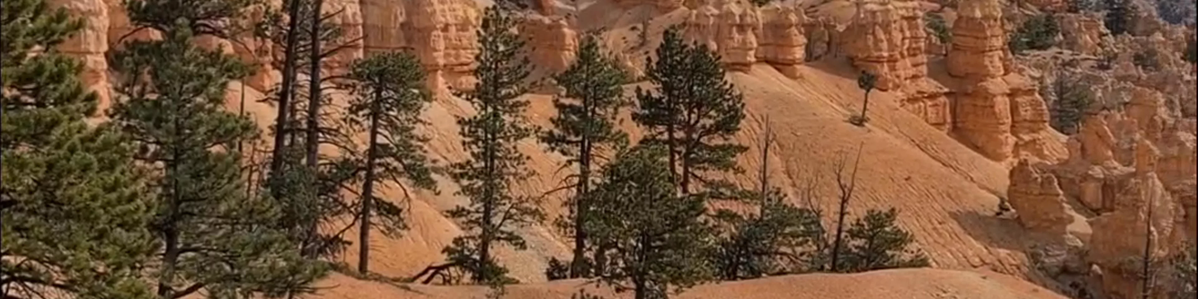 Peek-A-Boo Trail, Bryce Canyon