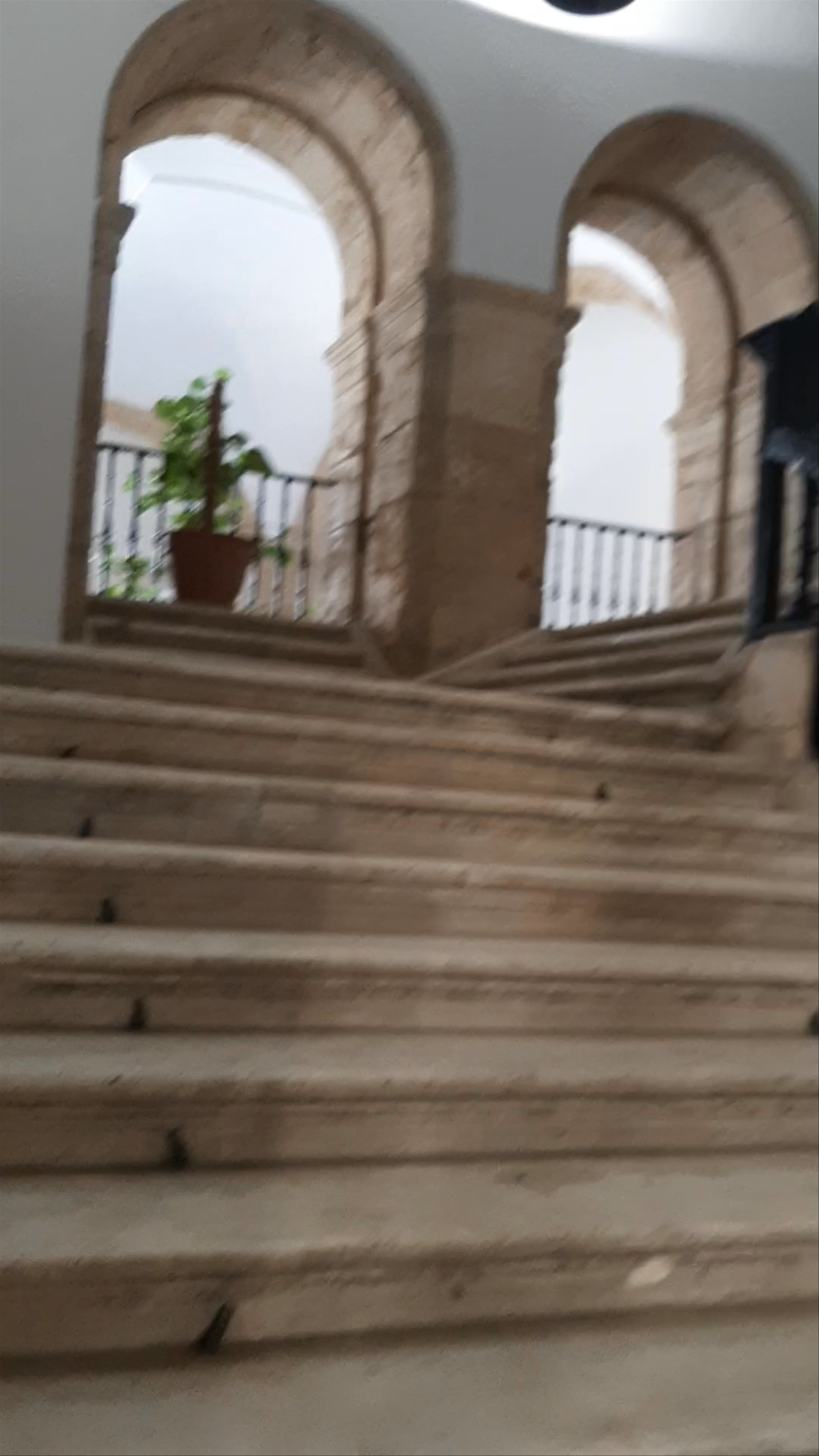 Universidad de Sevilla