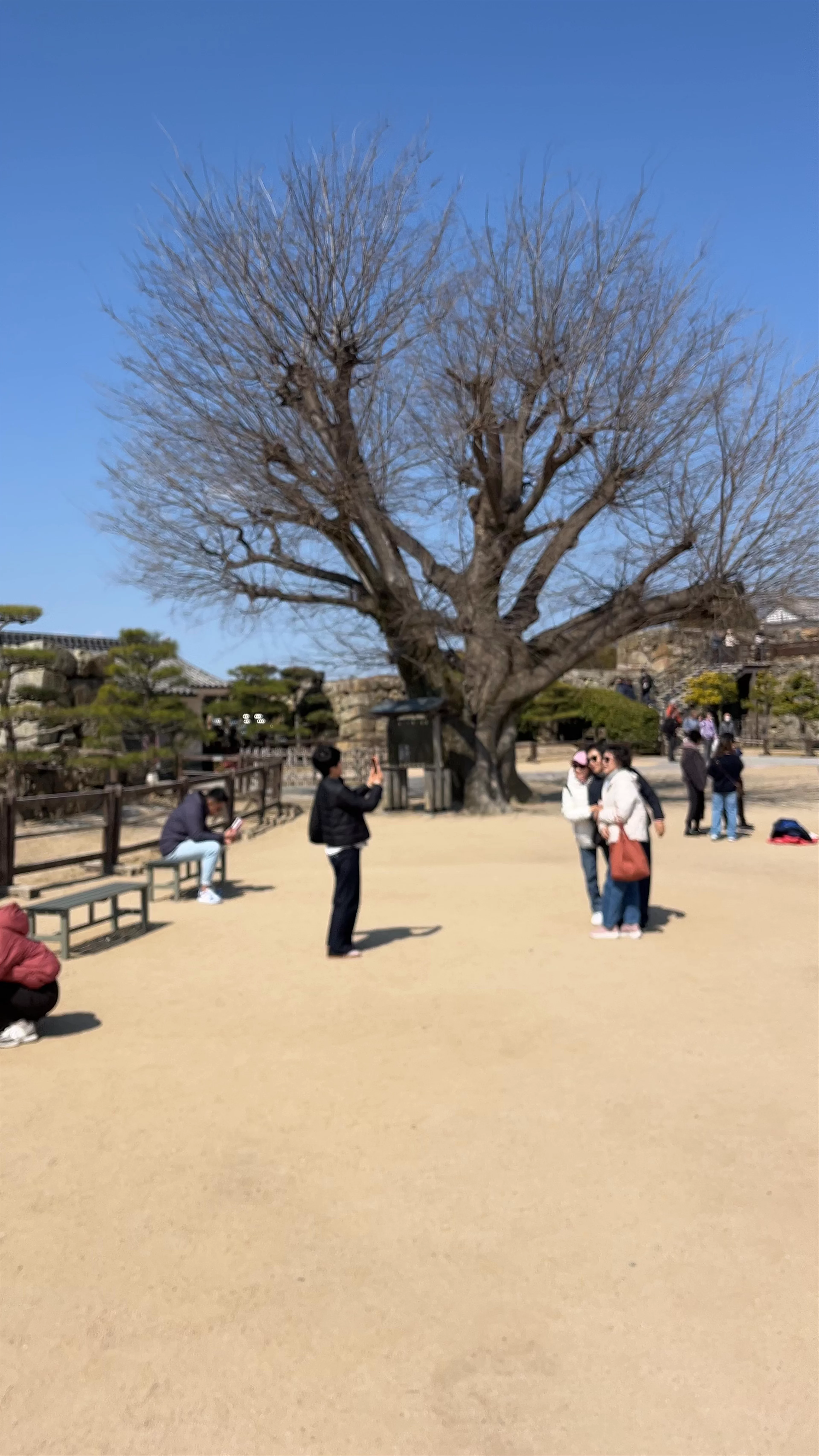 Bizenmaru (Main Bailey) Site