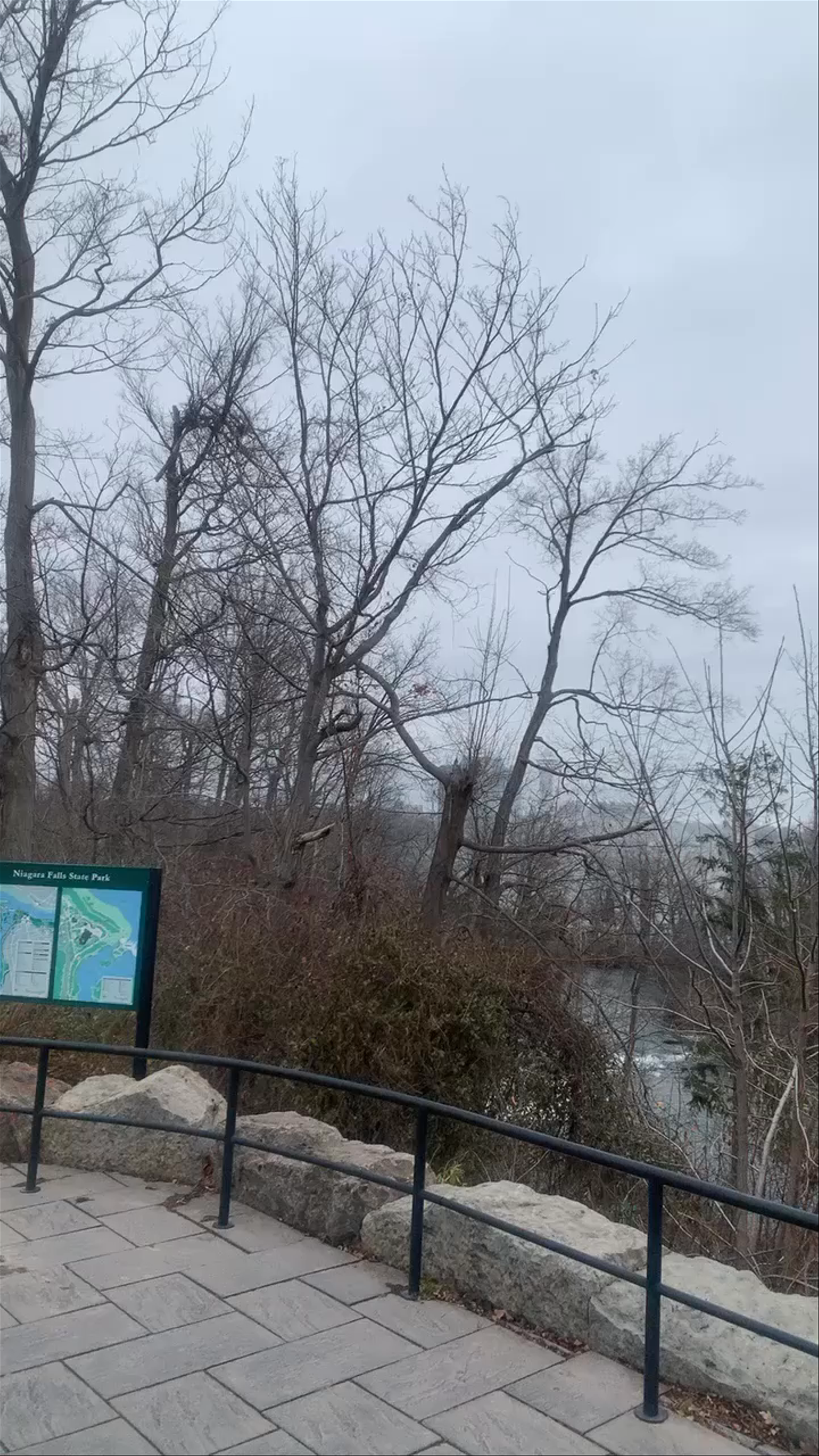 Niagara Falls State Park