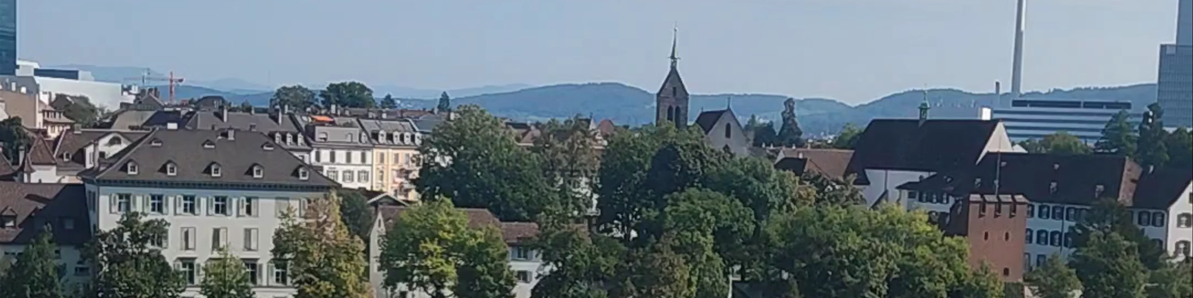Basler Pfalz