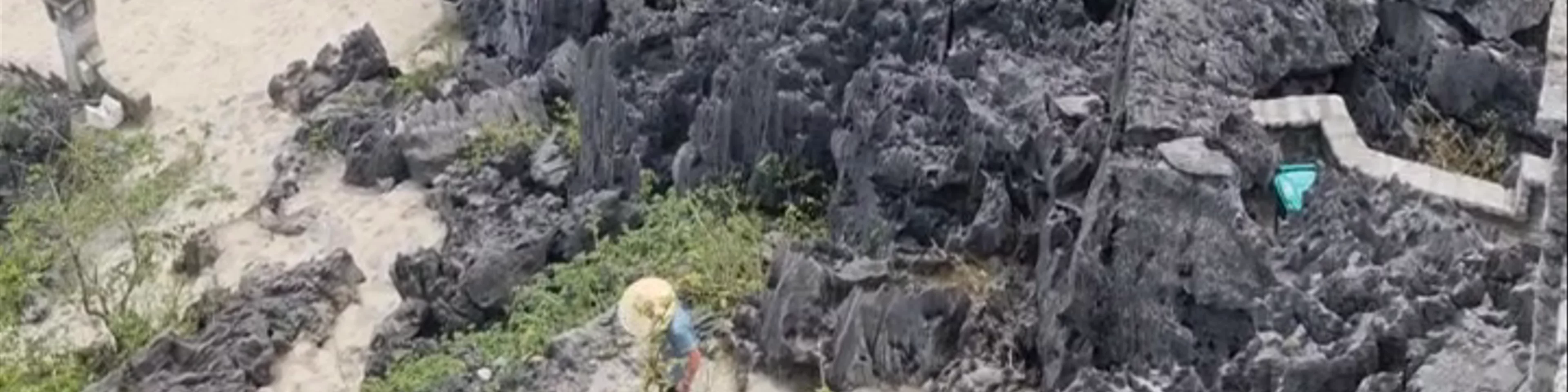 Viewpoint Đầm sen Hang múa