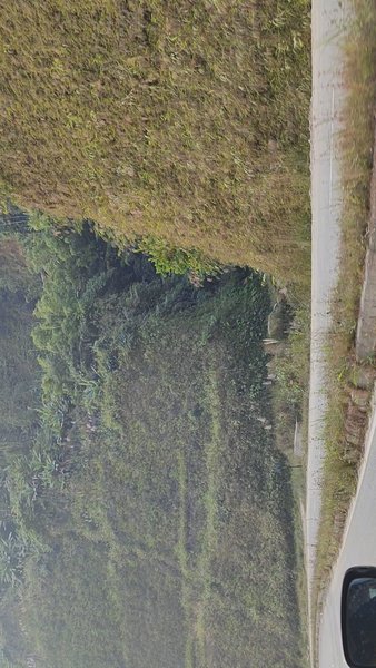 Photo of Gohpur to Itanagar h