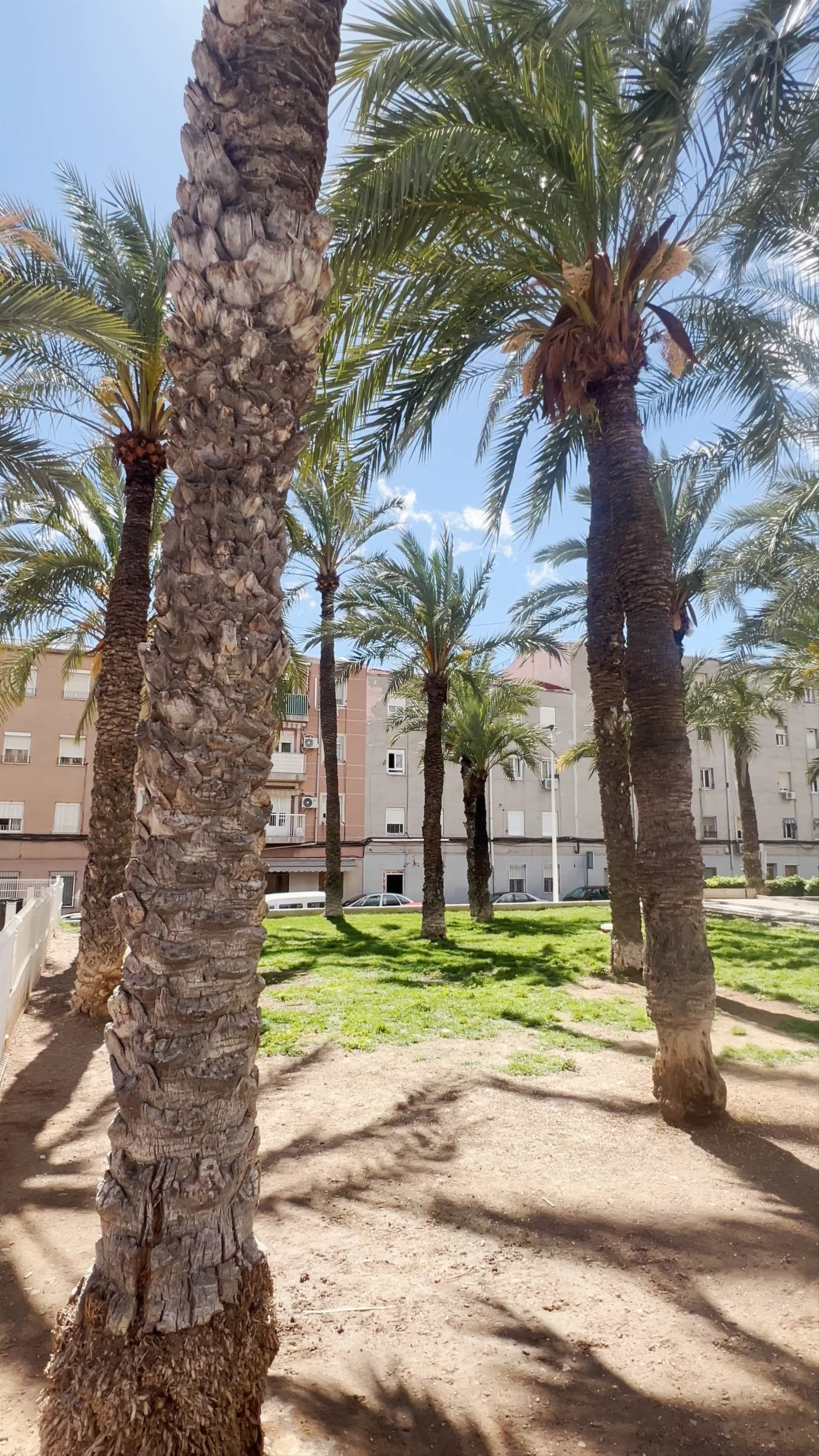Parque 1 De Mayo, Elche