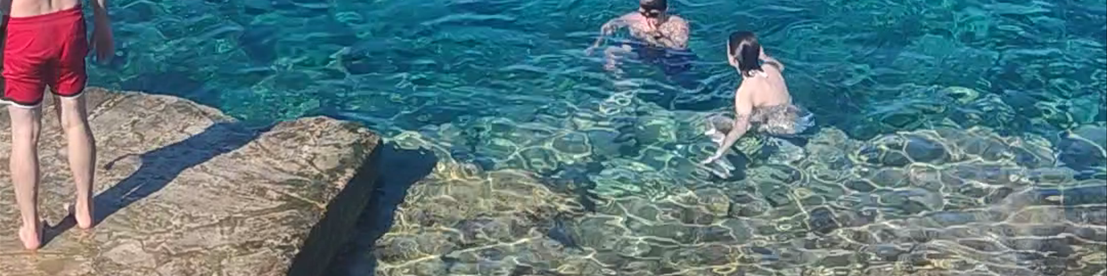 Protaras