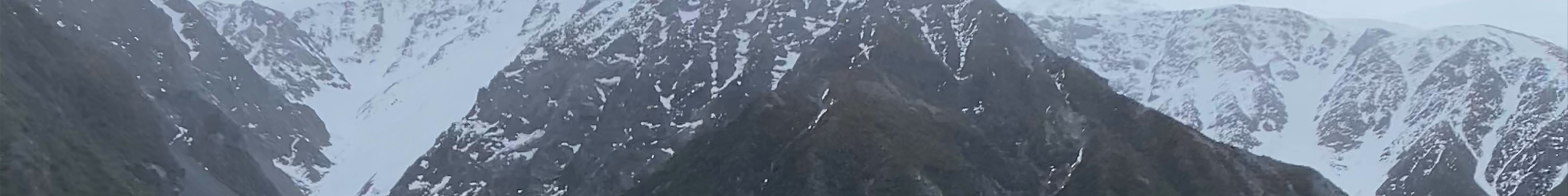Tours & experiences in Tasman