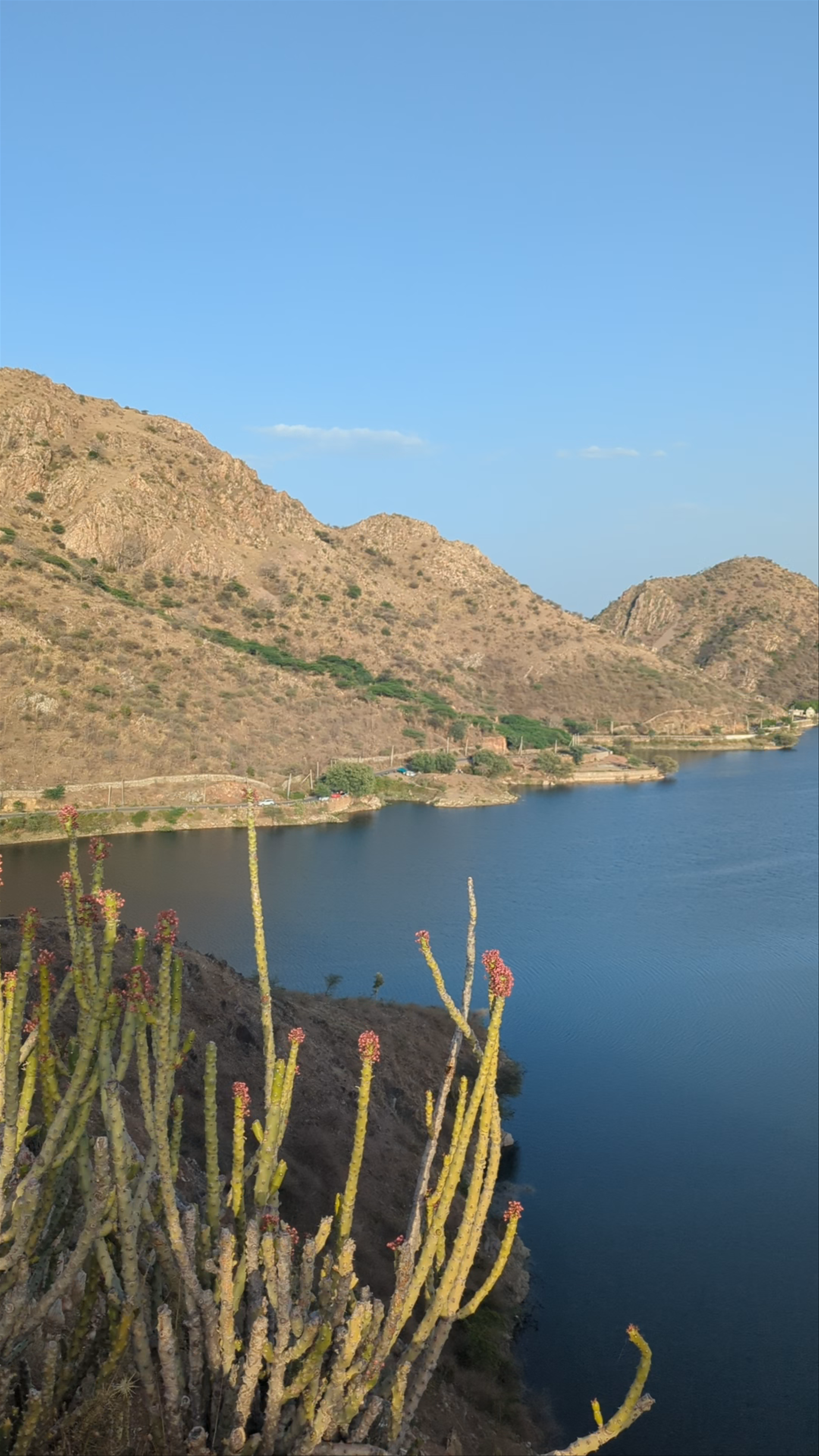 The wedding clickers