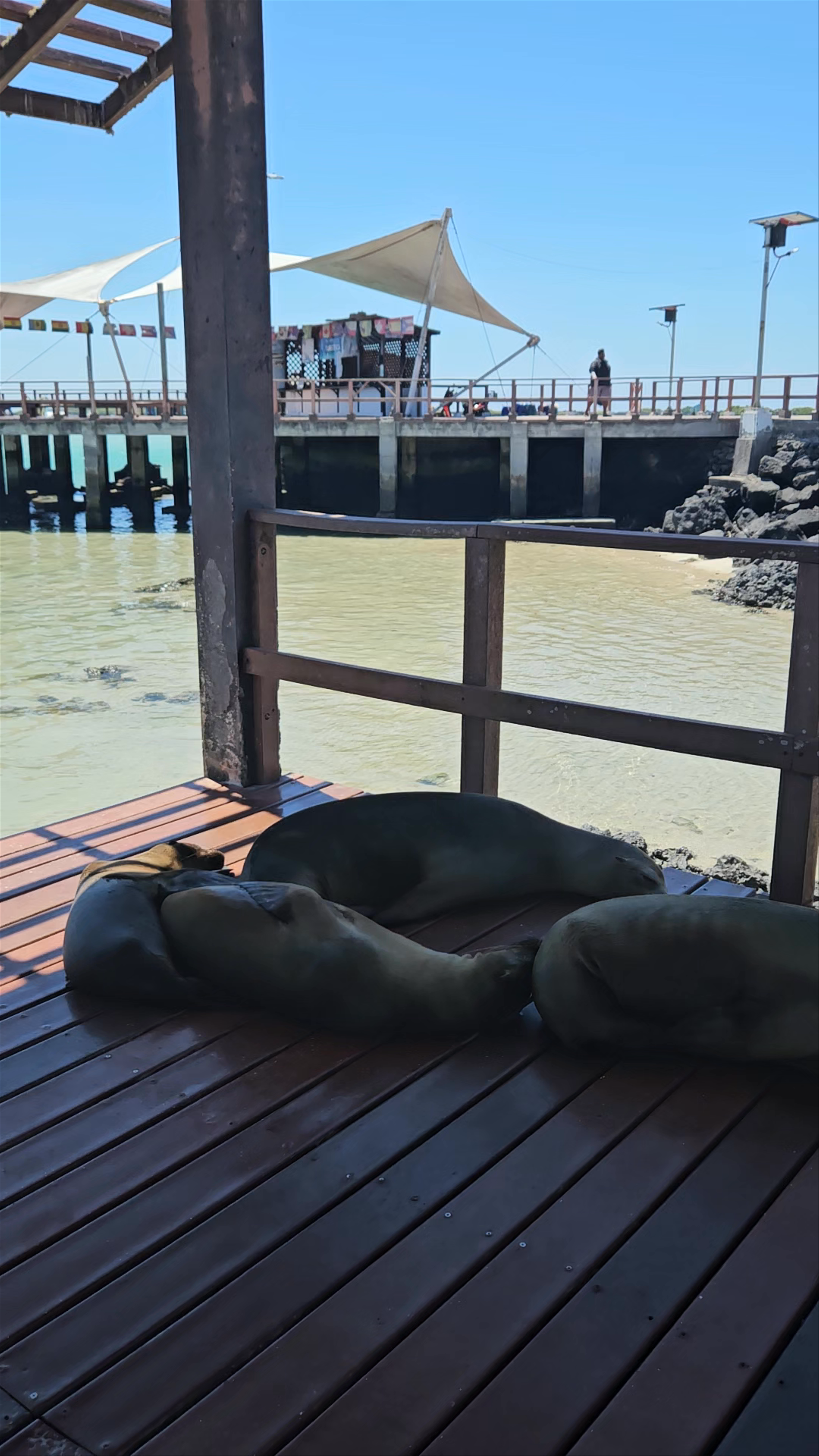 Embarcadero de pasajeros