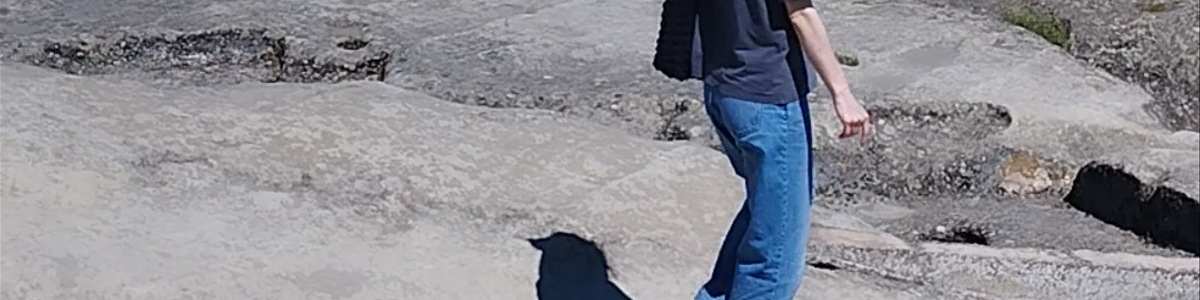 Gori