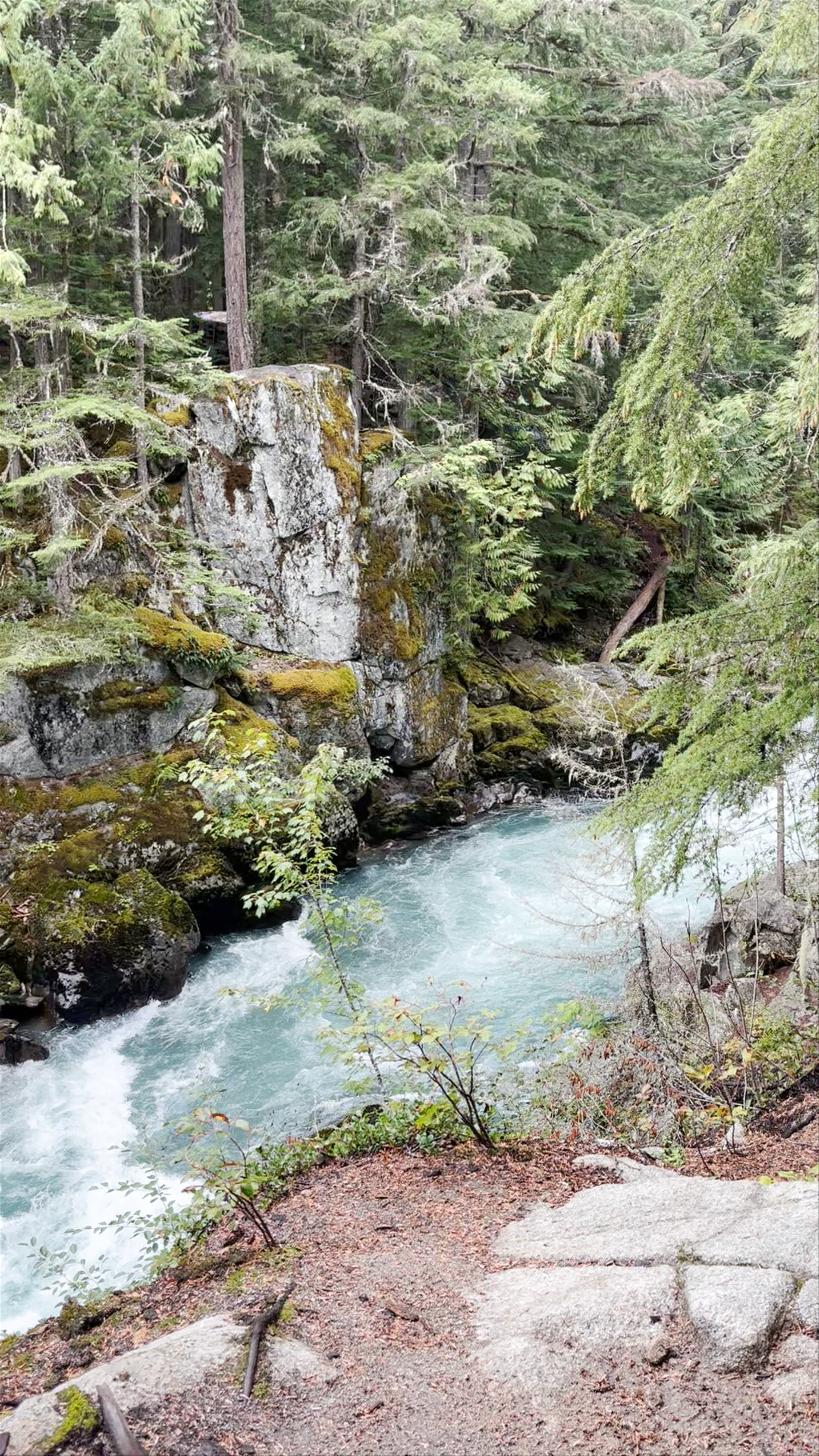 Train Wreck Trail Adventure in Whistler, British Columbia
