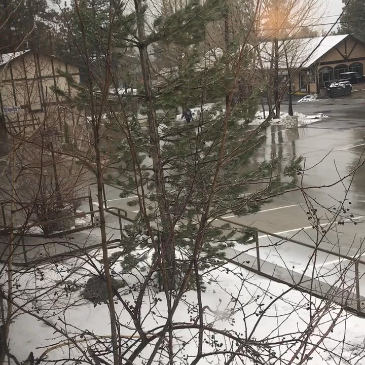 Holiday Inn The Lodge at Big Bear Lake - Snowy view from the room - Big Bear, CA