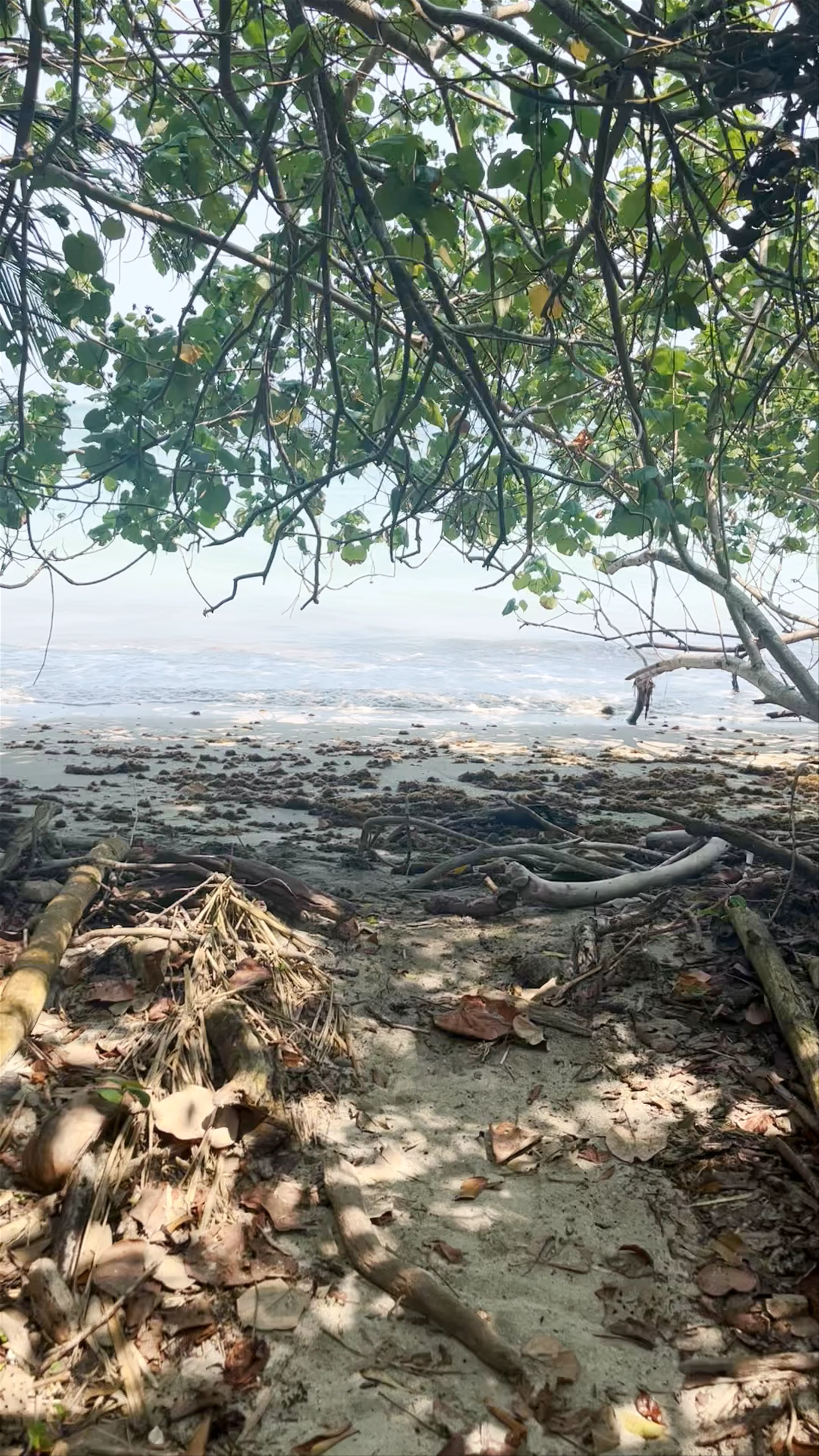Cahuita National Park
