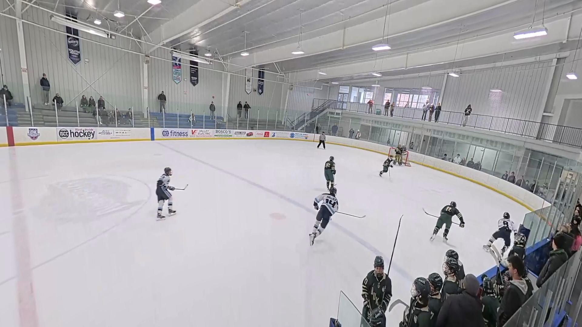 #24 defensive pokecheck with chip off the glass to clear the zone