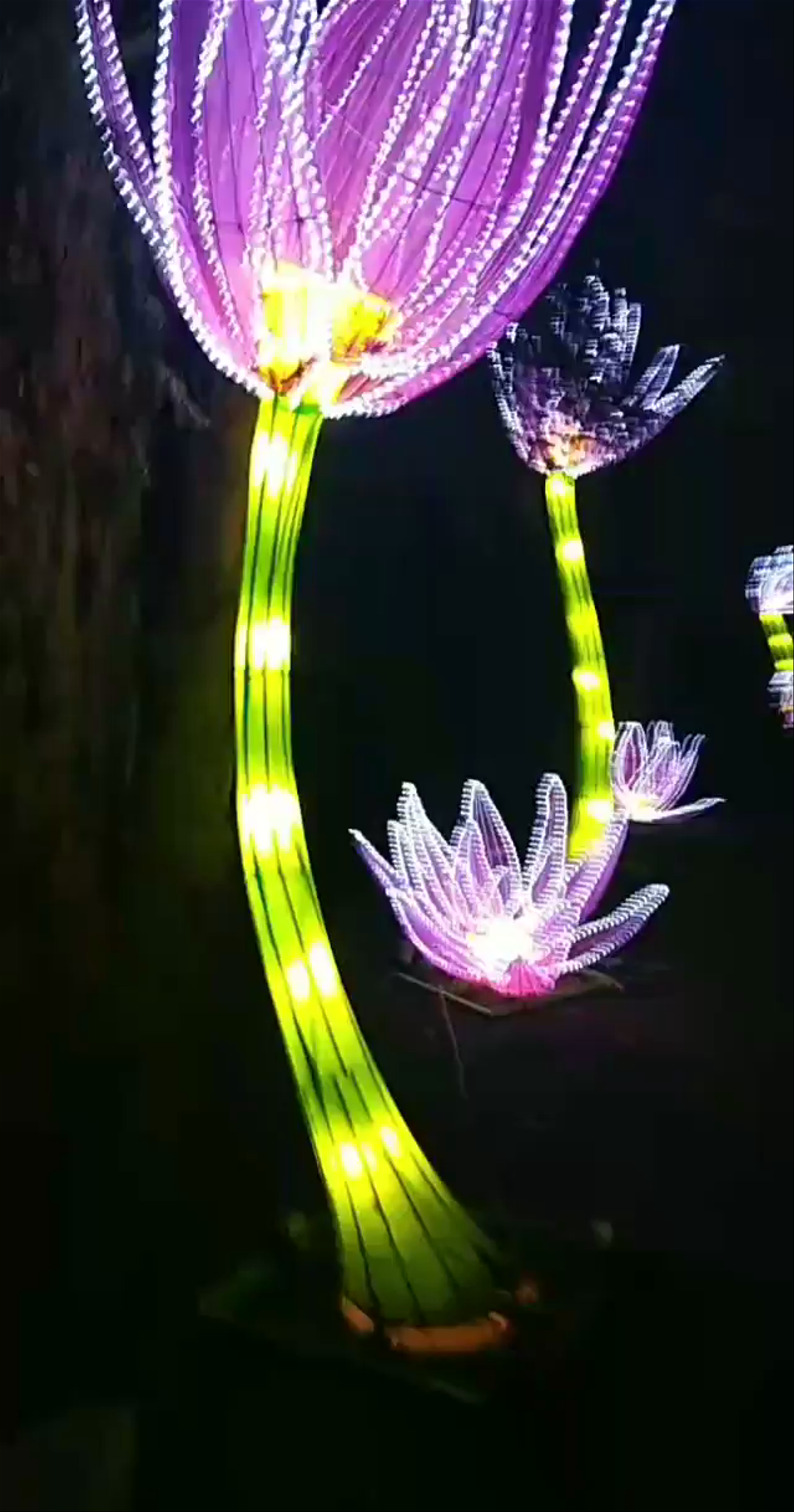 Lightopia London: A Magical Nighttime Lantern Festival