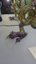 Small image 9