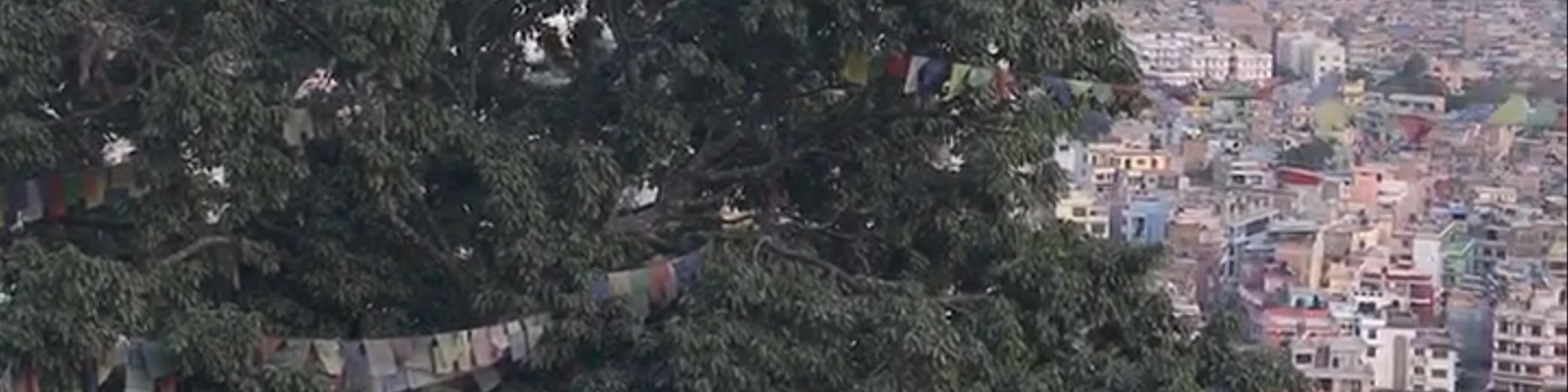 Nepal