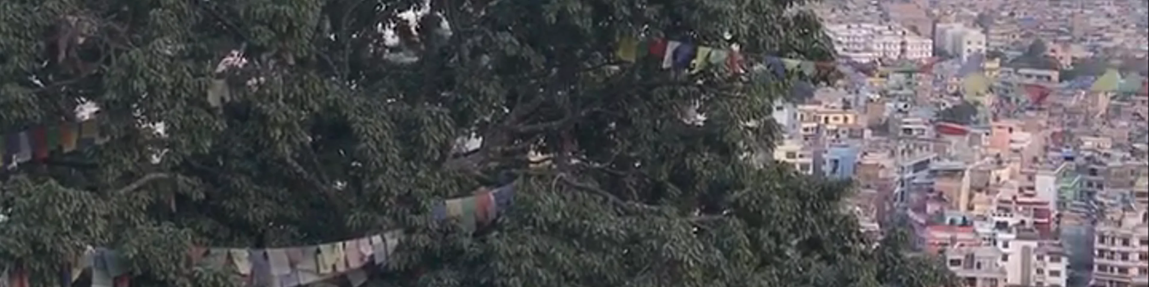Swayambhunaath Mahachaitya